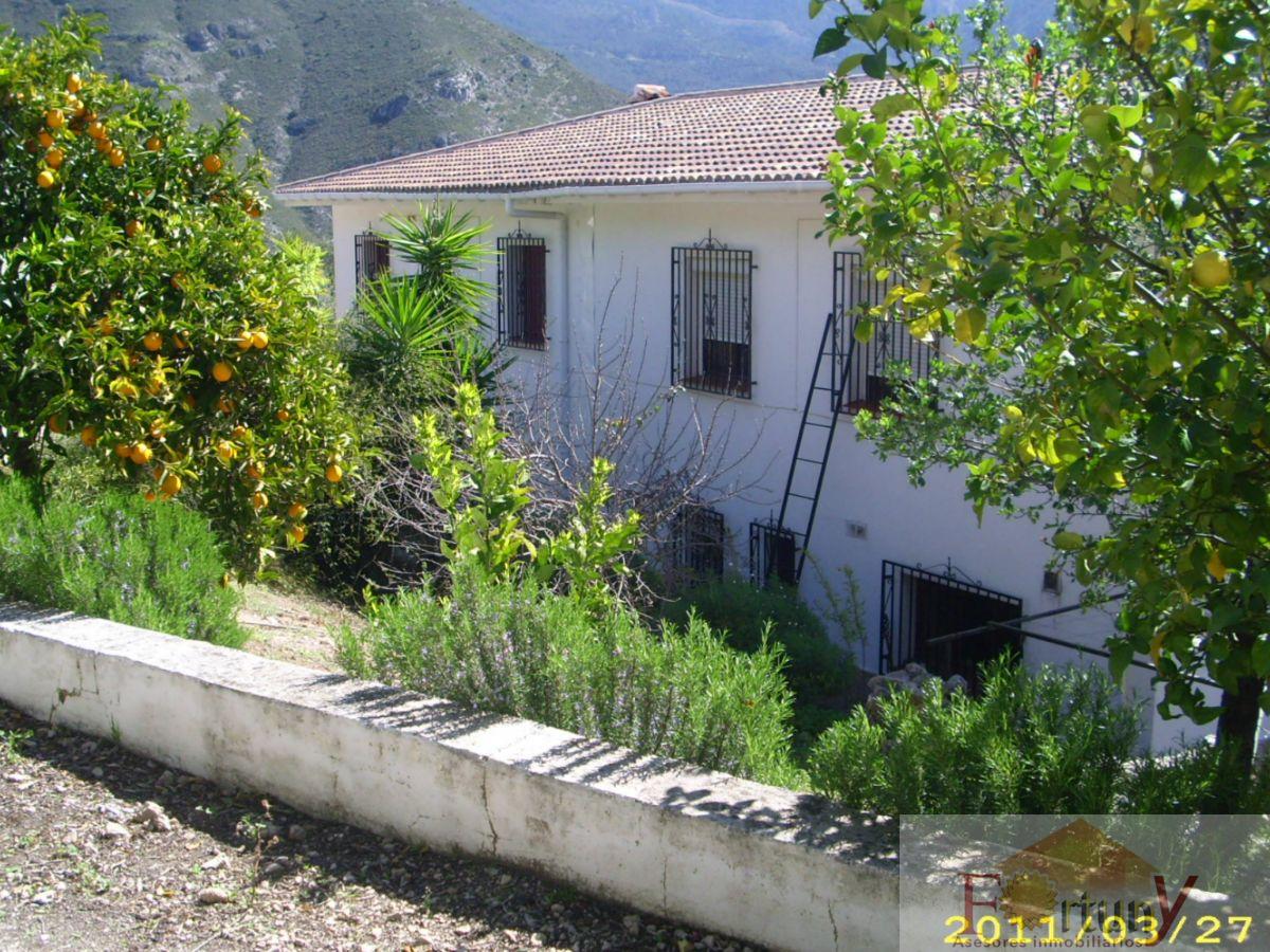 Venta de finca rústica en Alcaucín