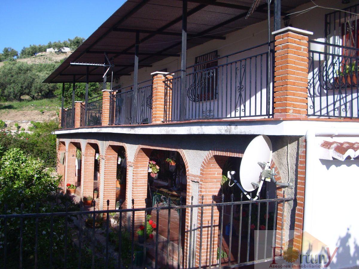 For sale of rural property in Alcaucín
