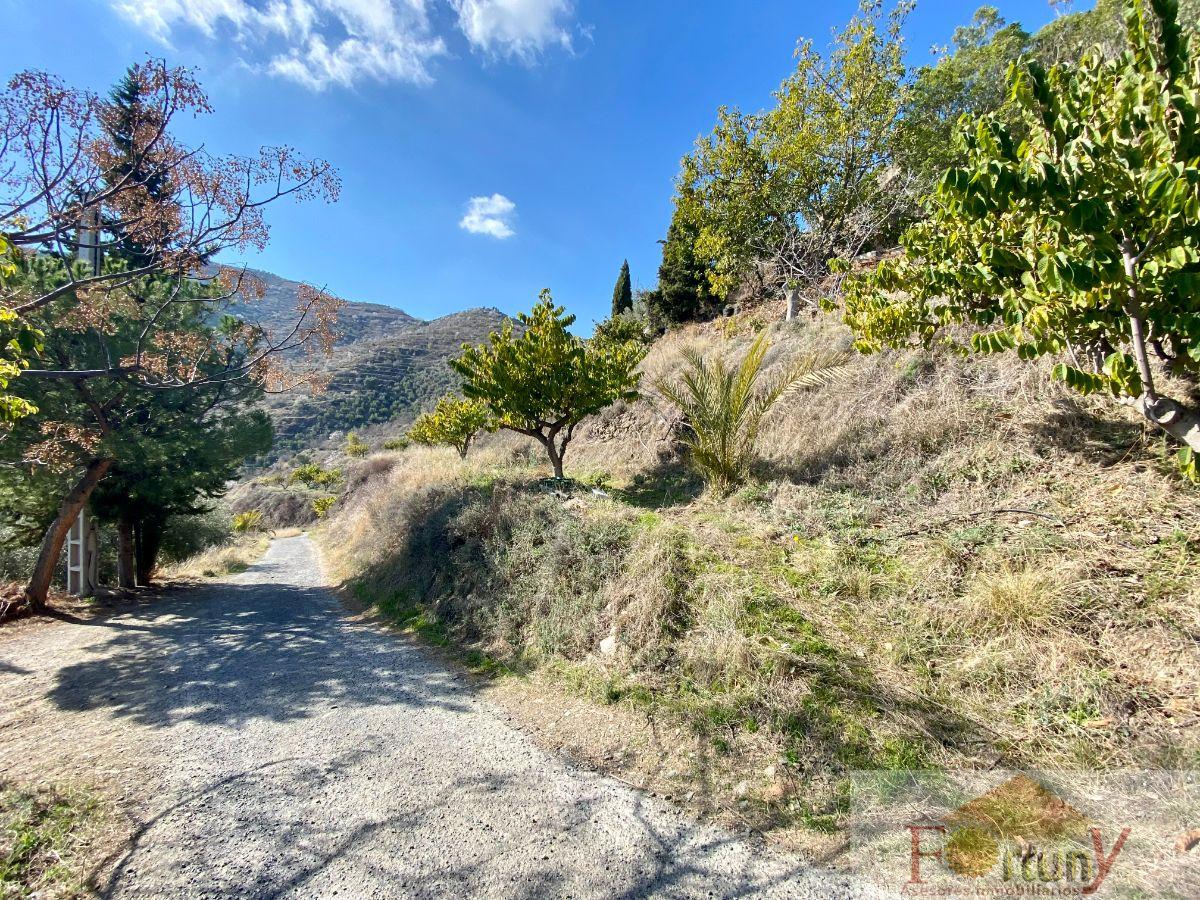 Venta de finca rústica en Itrabo