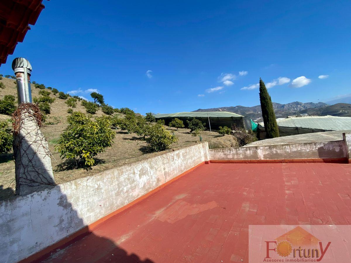 Venta de finca rústica en Itrabo