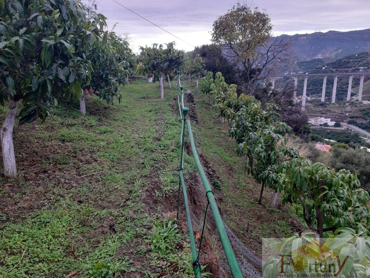 For sale of land in Almuñécar