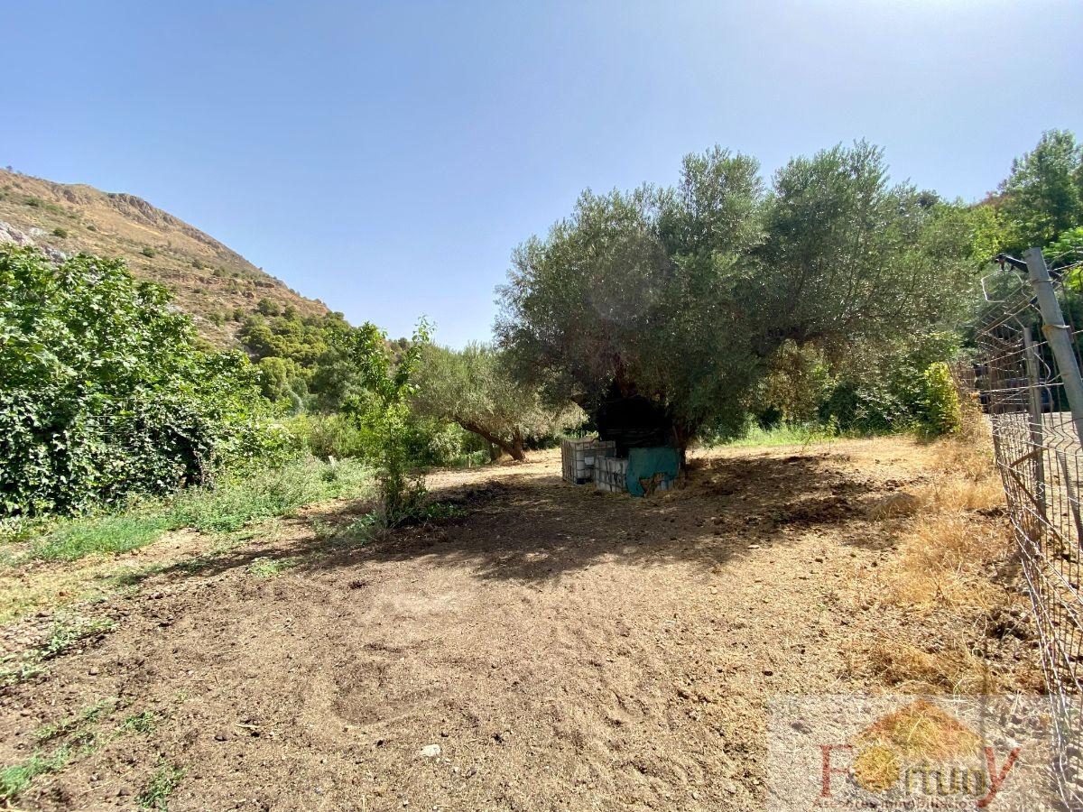 Venta de finca rústica en Torvizcón