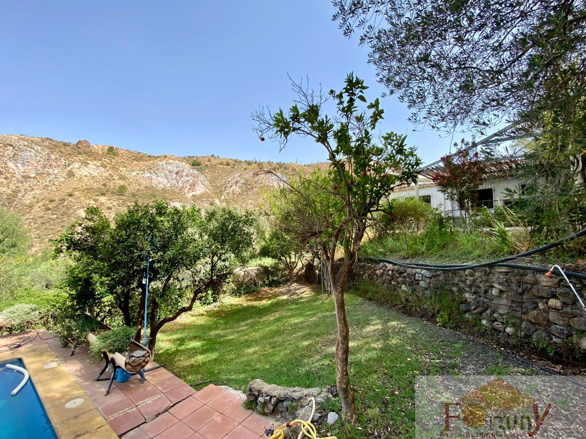 Venta de finca rústica en Torvizcón