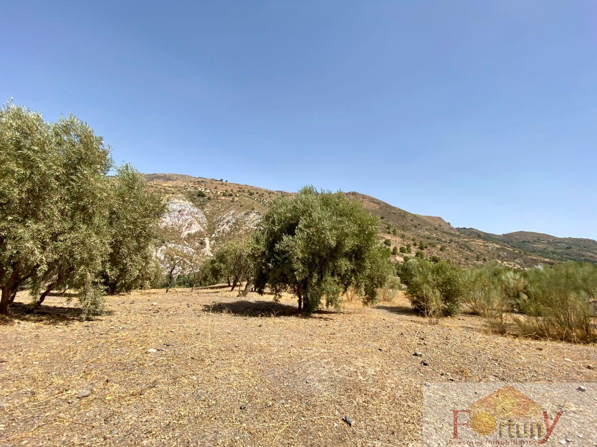 Venta de finca rústica en Torvizcón