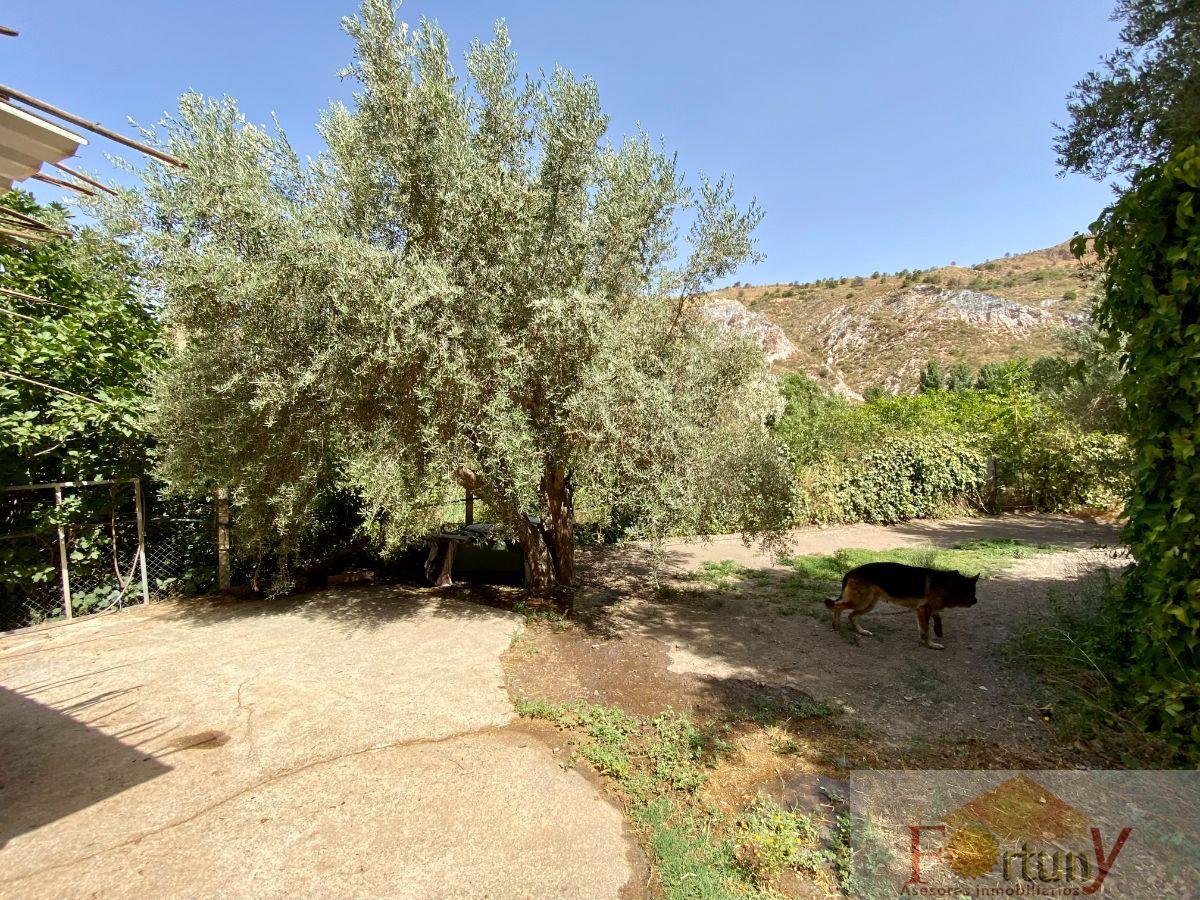 Venta de finca rústica en Torvizcón