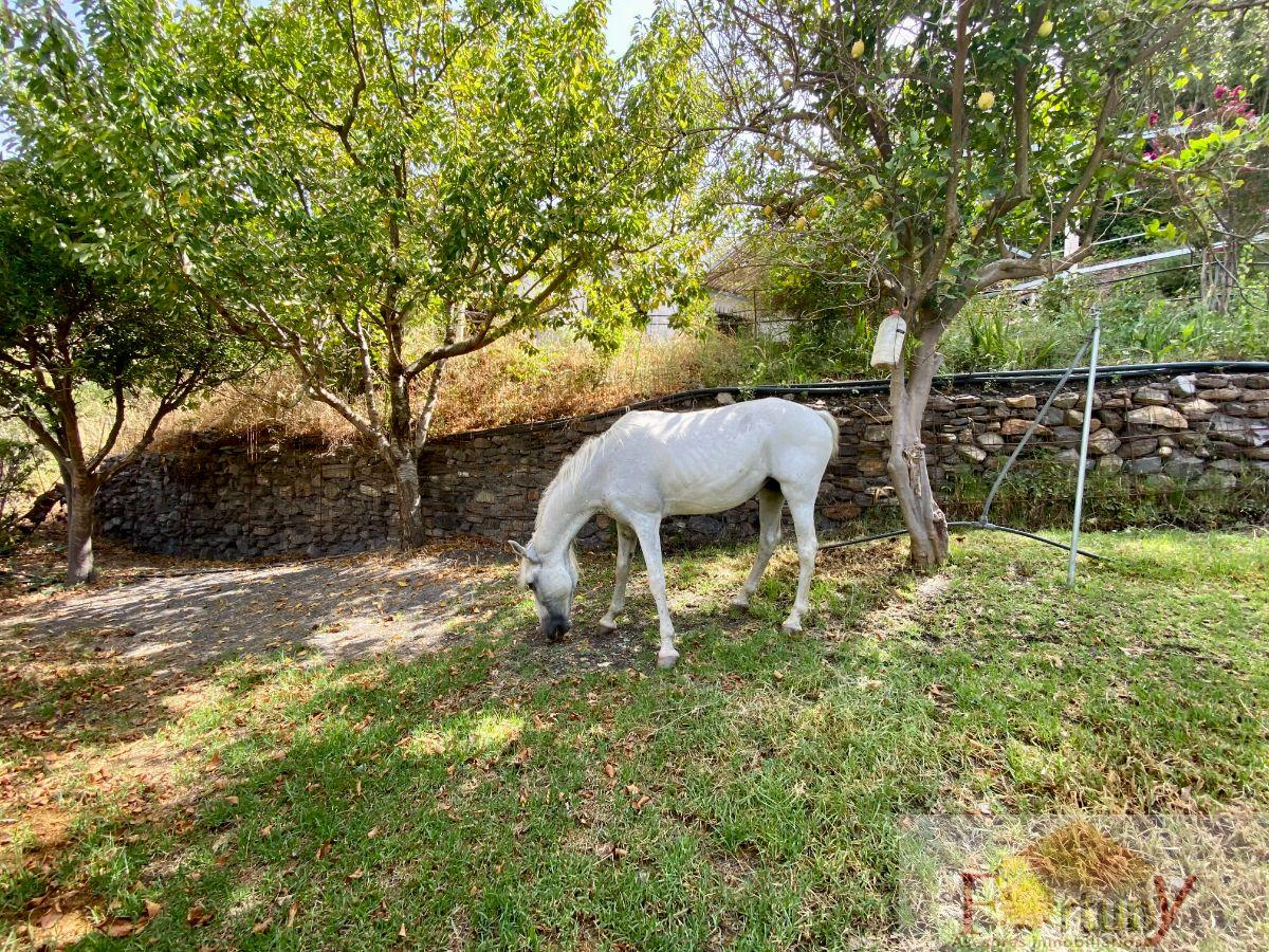 Venta de finca rústica en Torvizcón