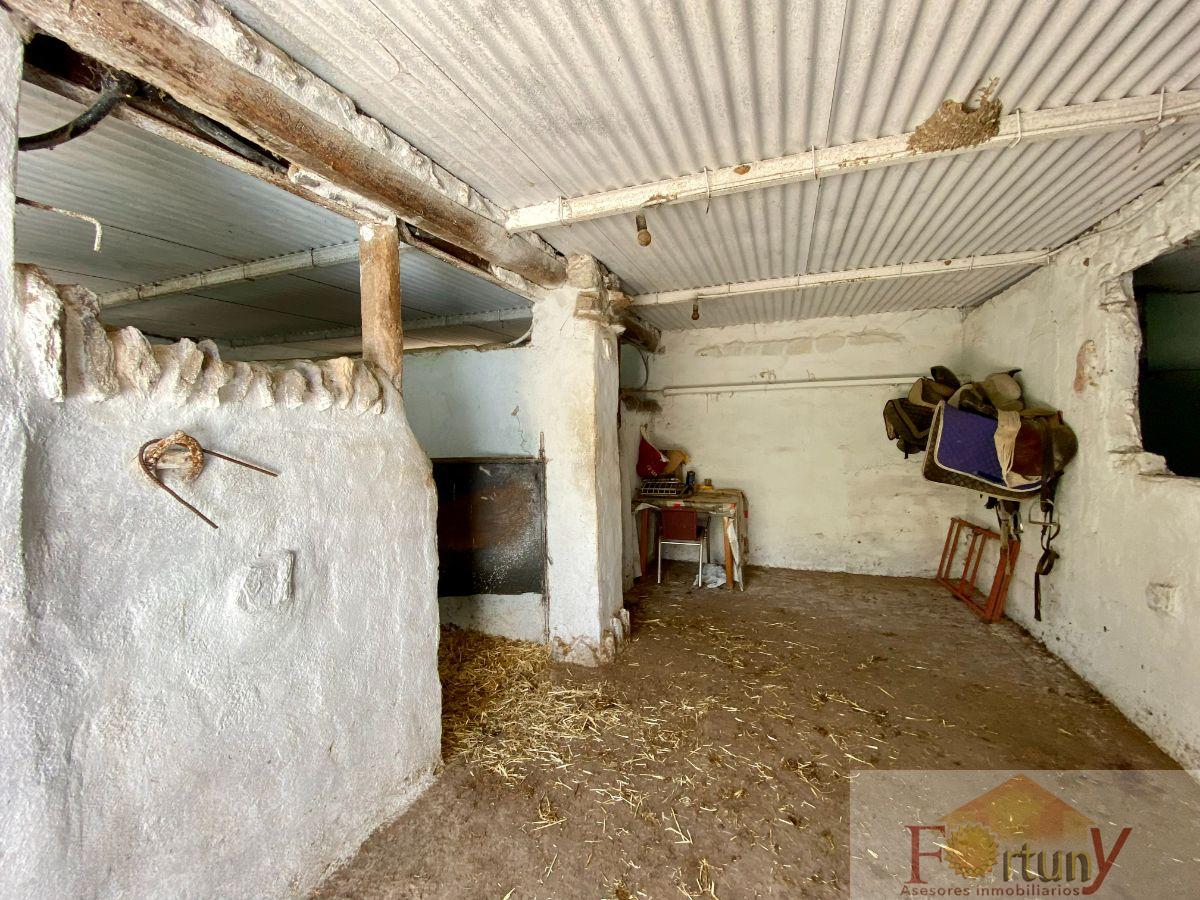 Venta de finca rústica en Torvizcón