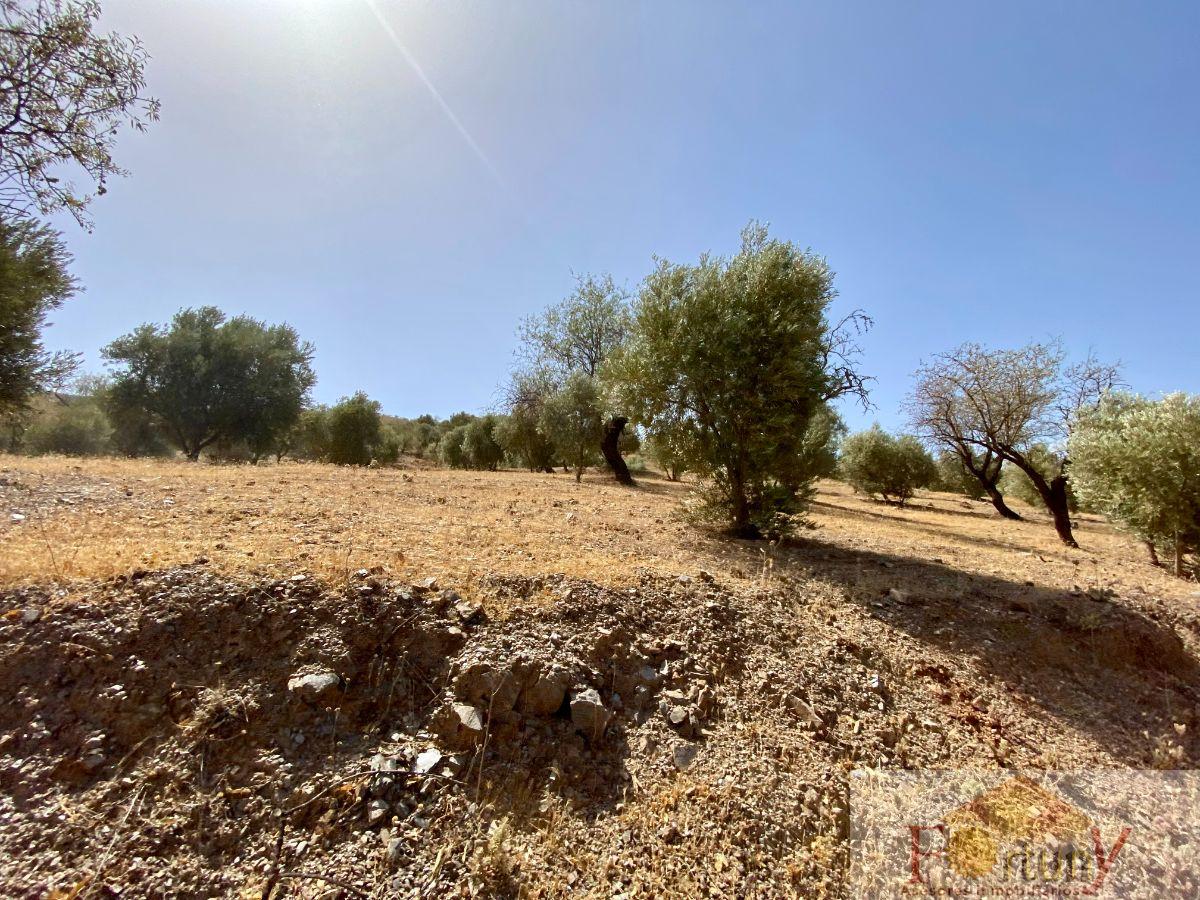 For sale of rural property in Torvizcón