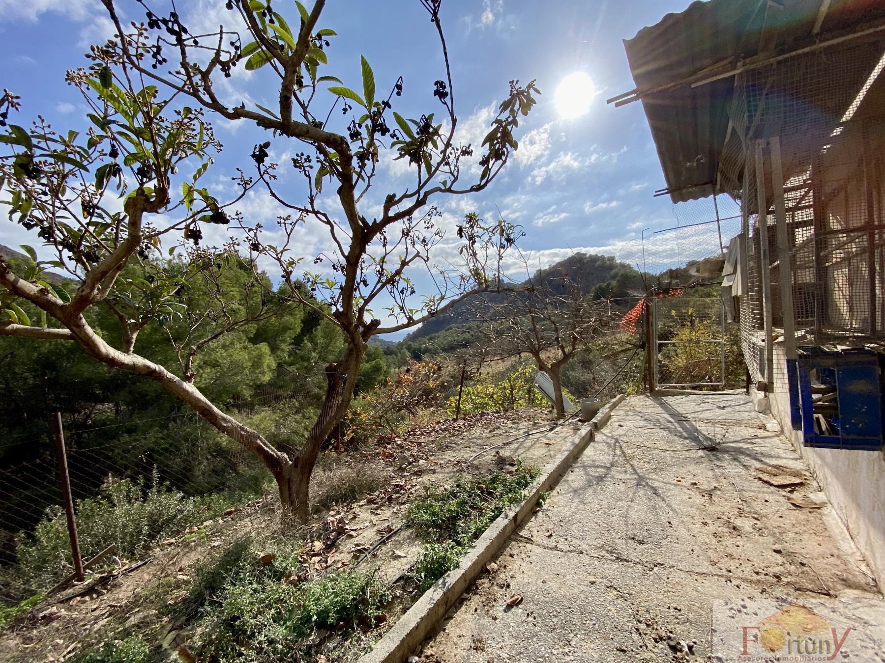 Venta de finca rústica en La Herradura