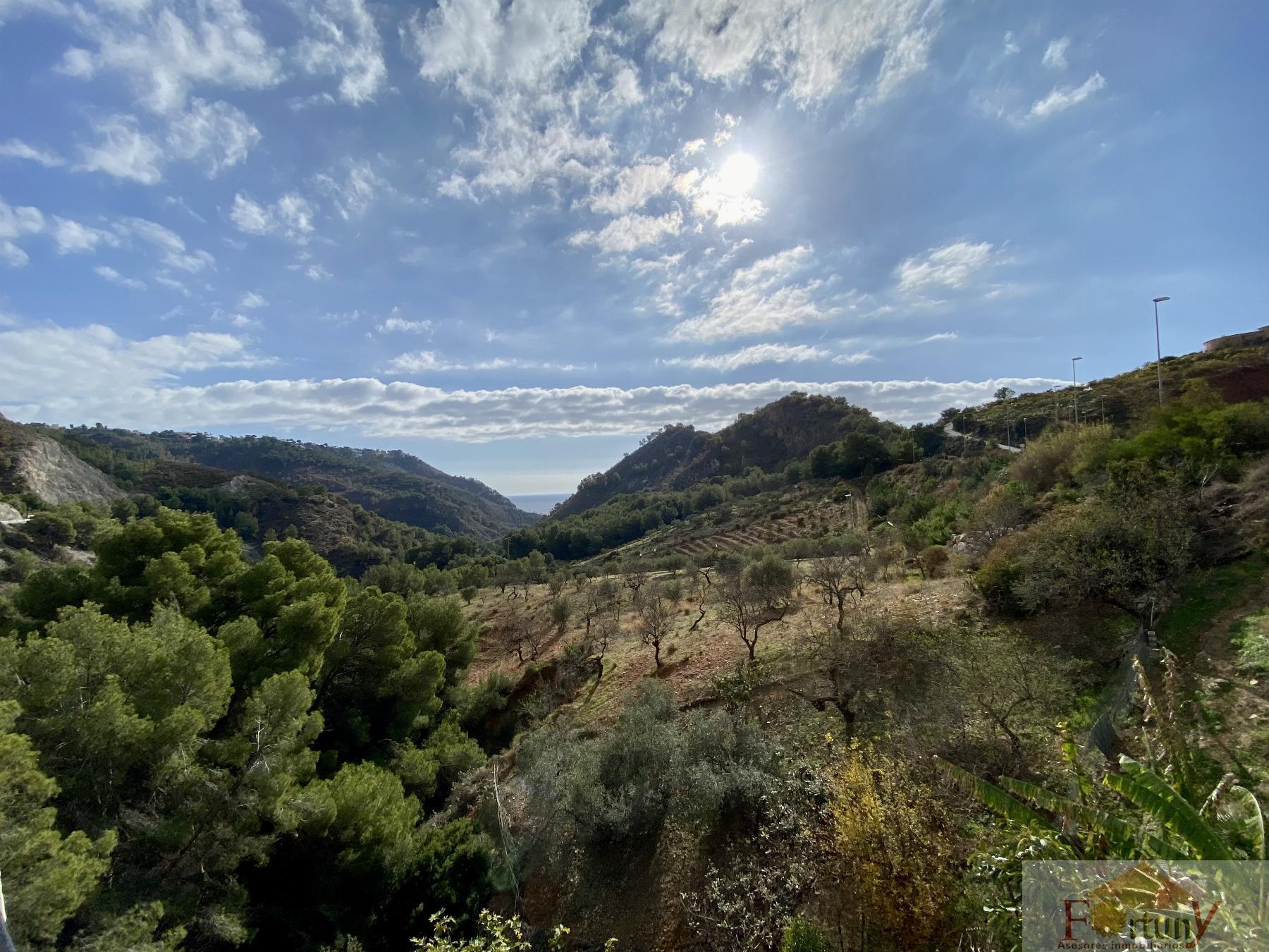 Venta de finca rústica en La Herradura