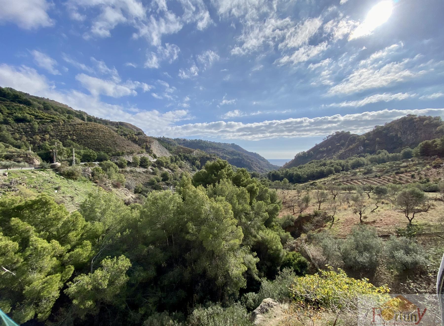 Venta de finca rústica en La Herradura