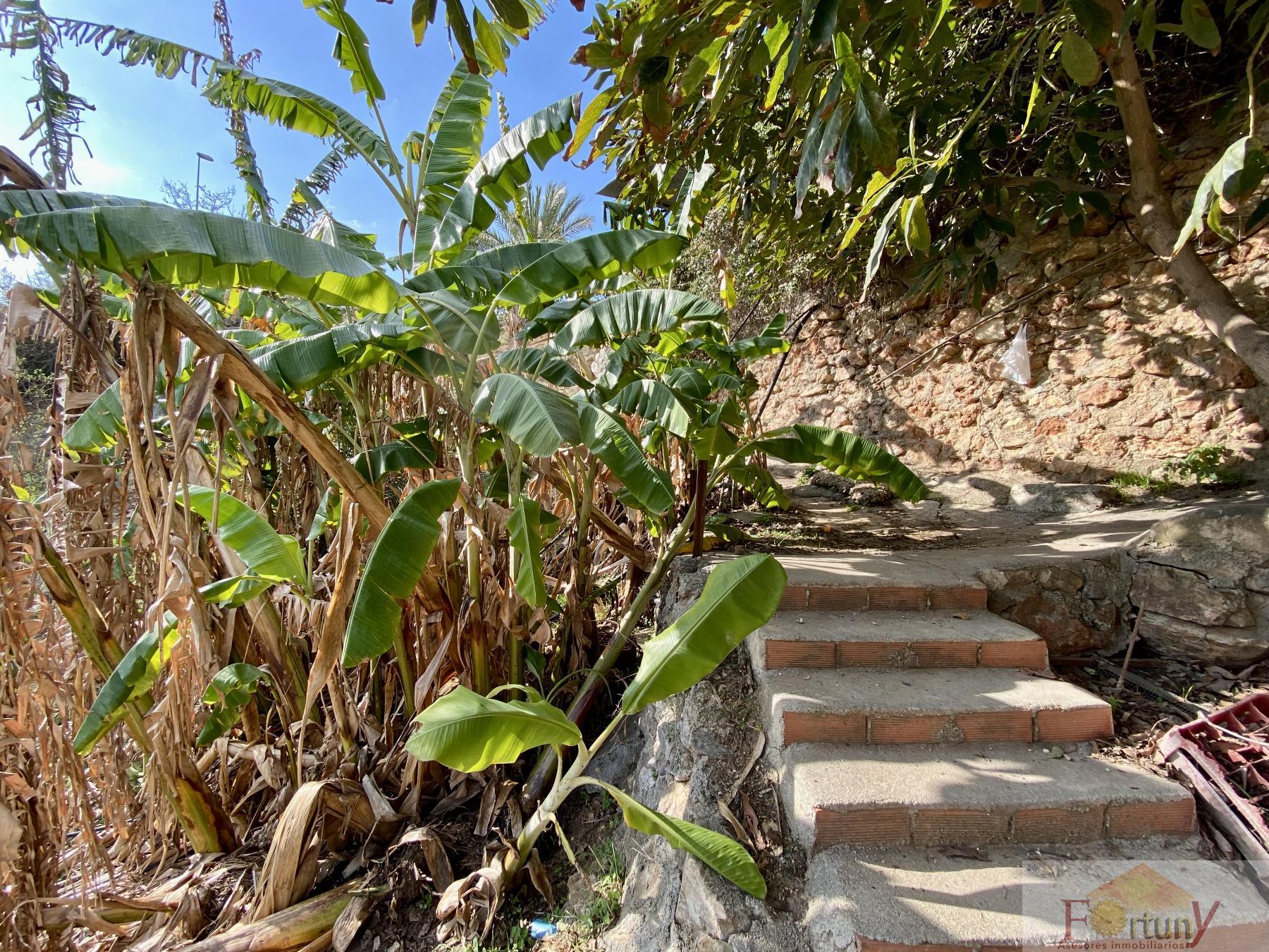 For sale of rural property in La Herradura