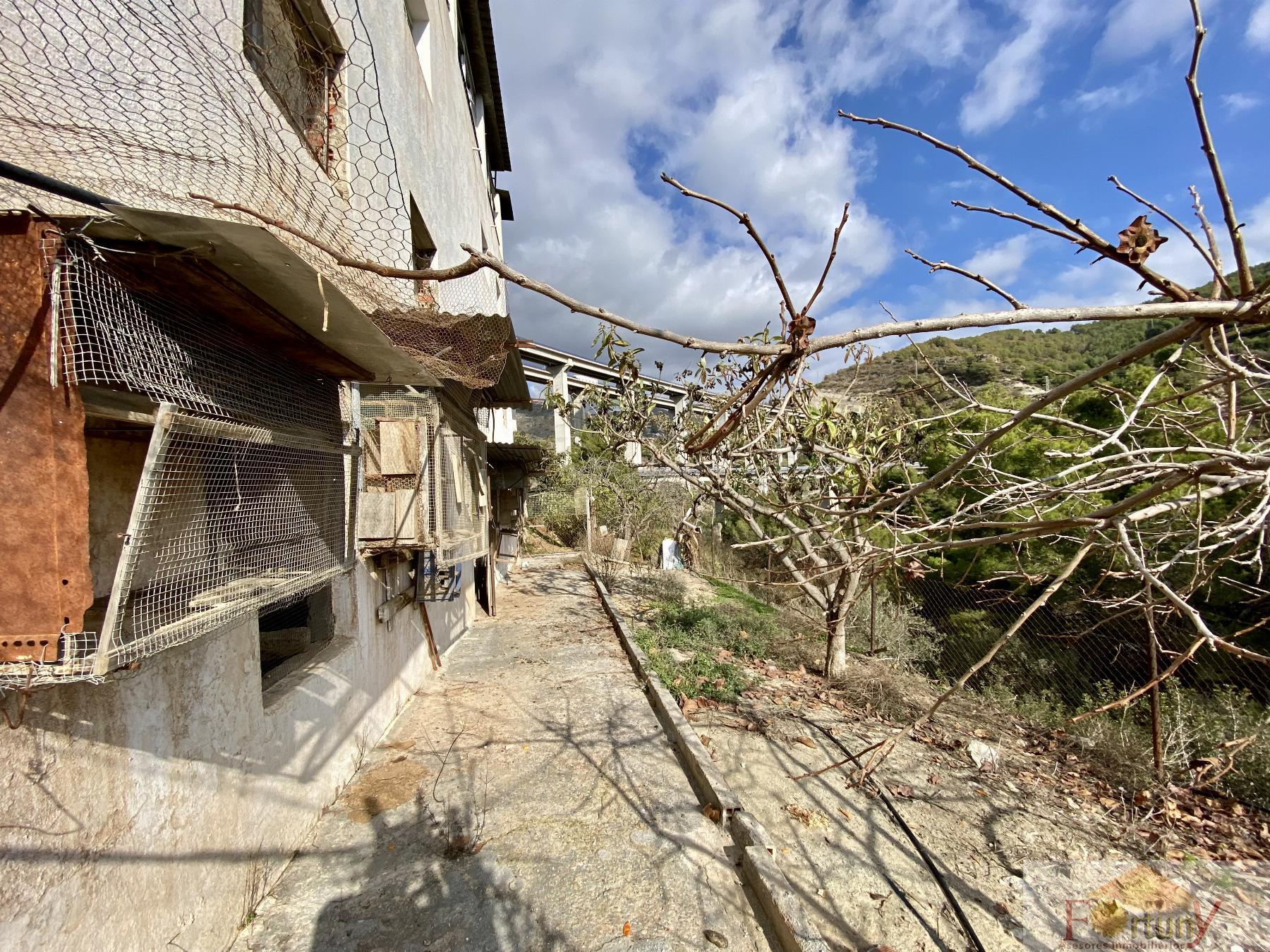 Venta de finca rústica en La Herradura