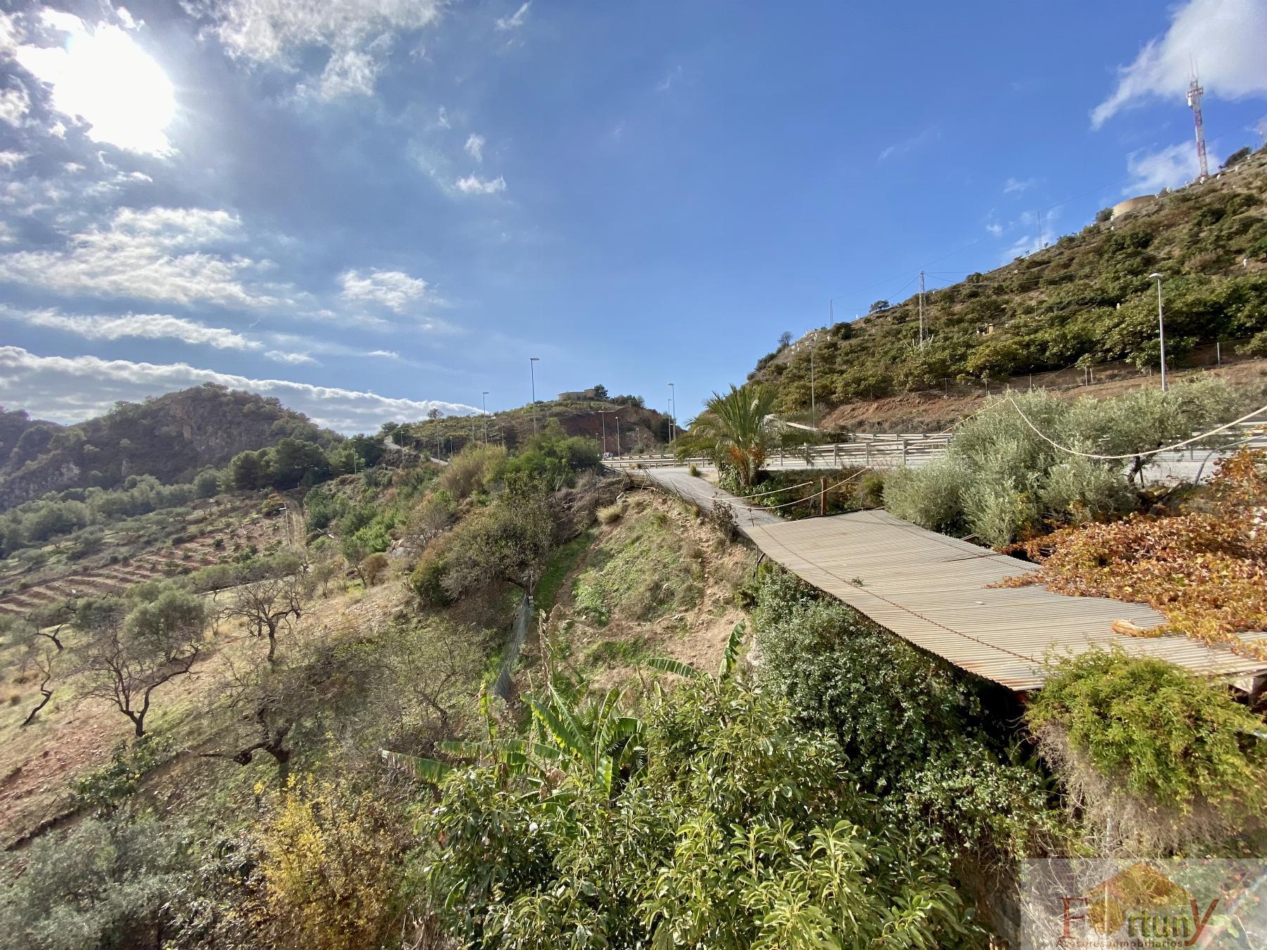 Venta de finca rústica en La Herradura