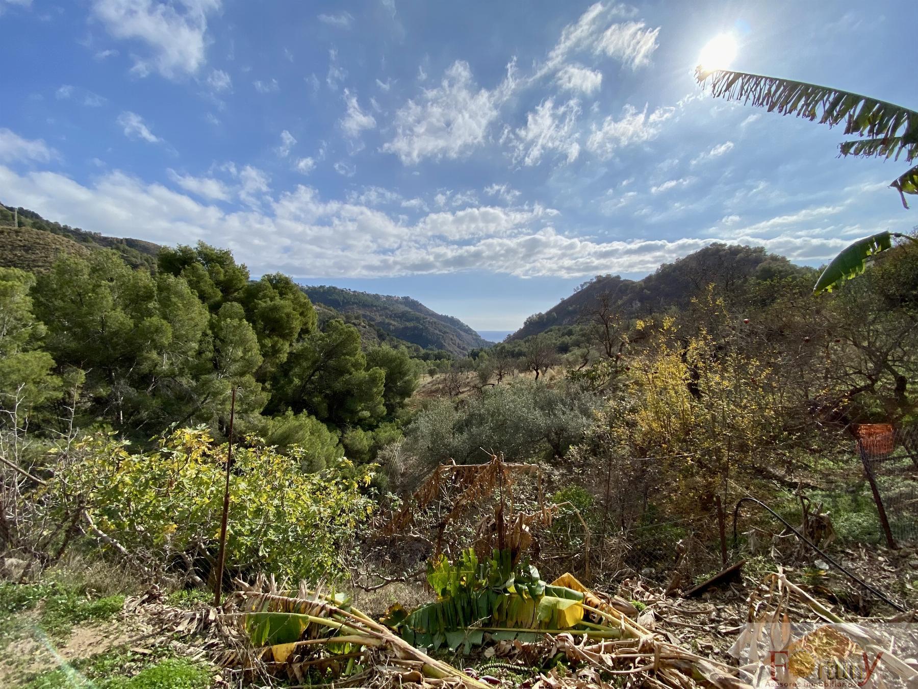 Venta de finca rústica en La Herradura