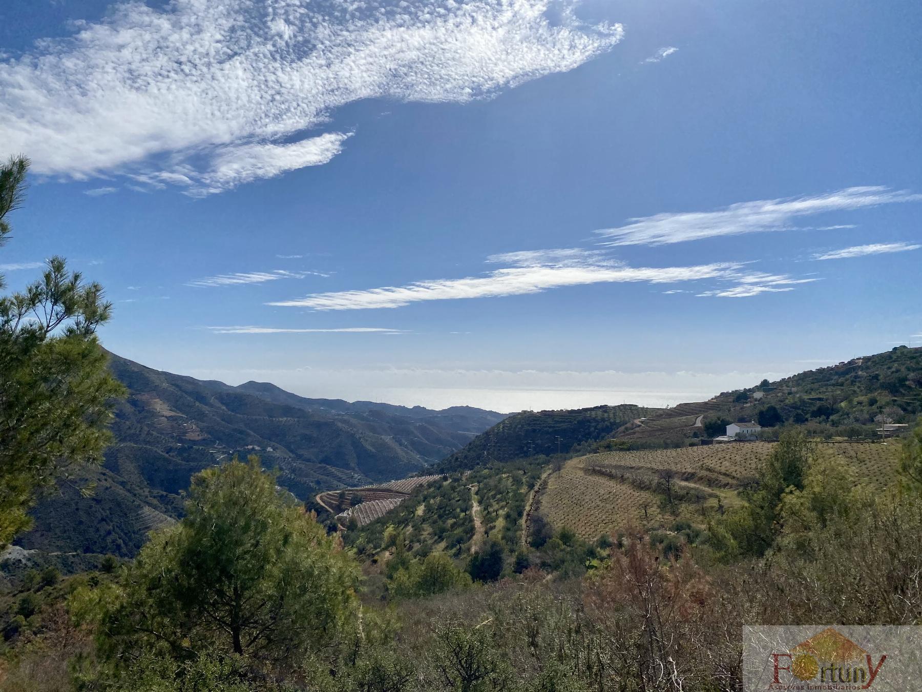 Venta de finca rústica en La Herradura