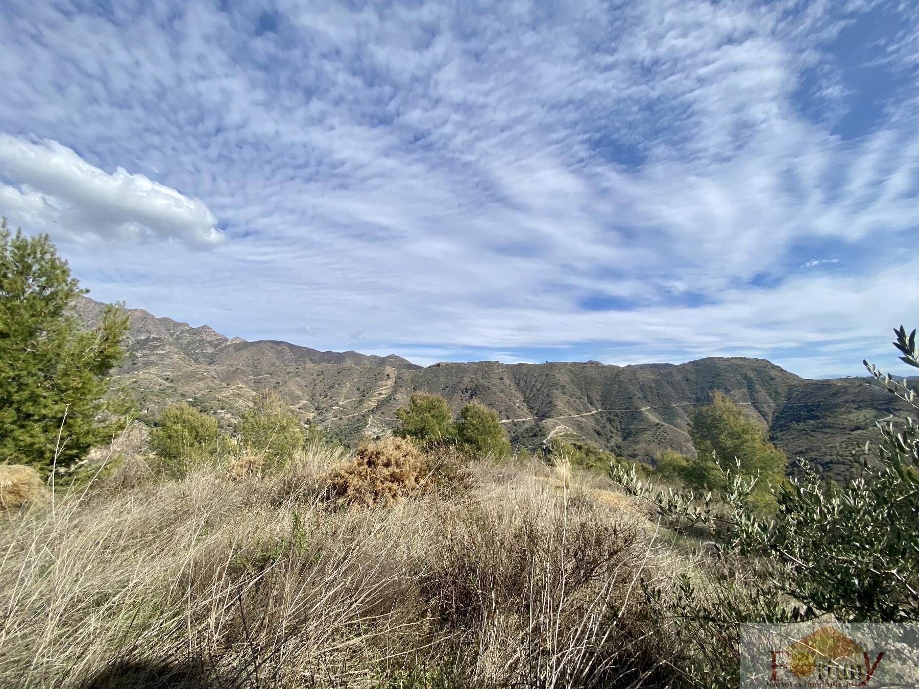 Venta de finca rústica en La Herradura