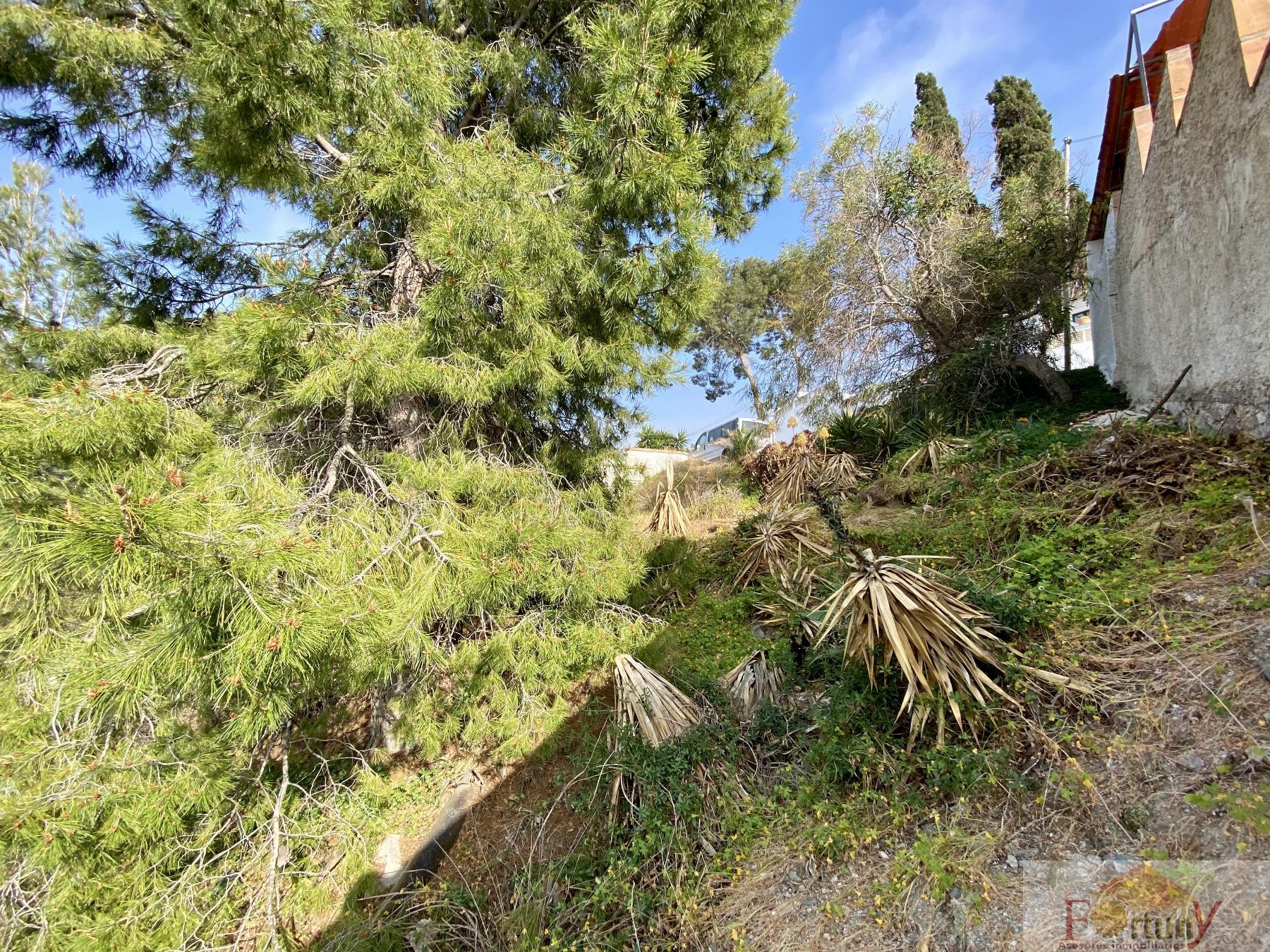 For sale of land in Almuñécar