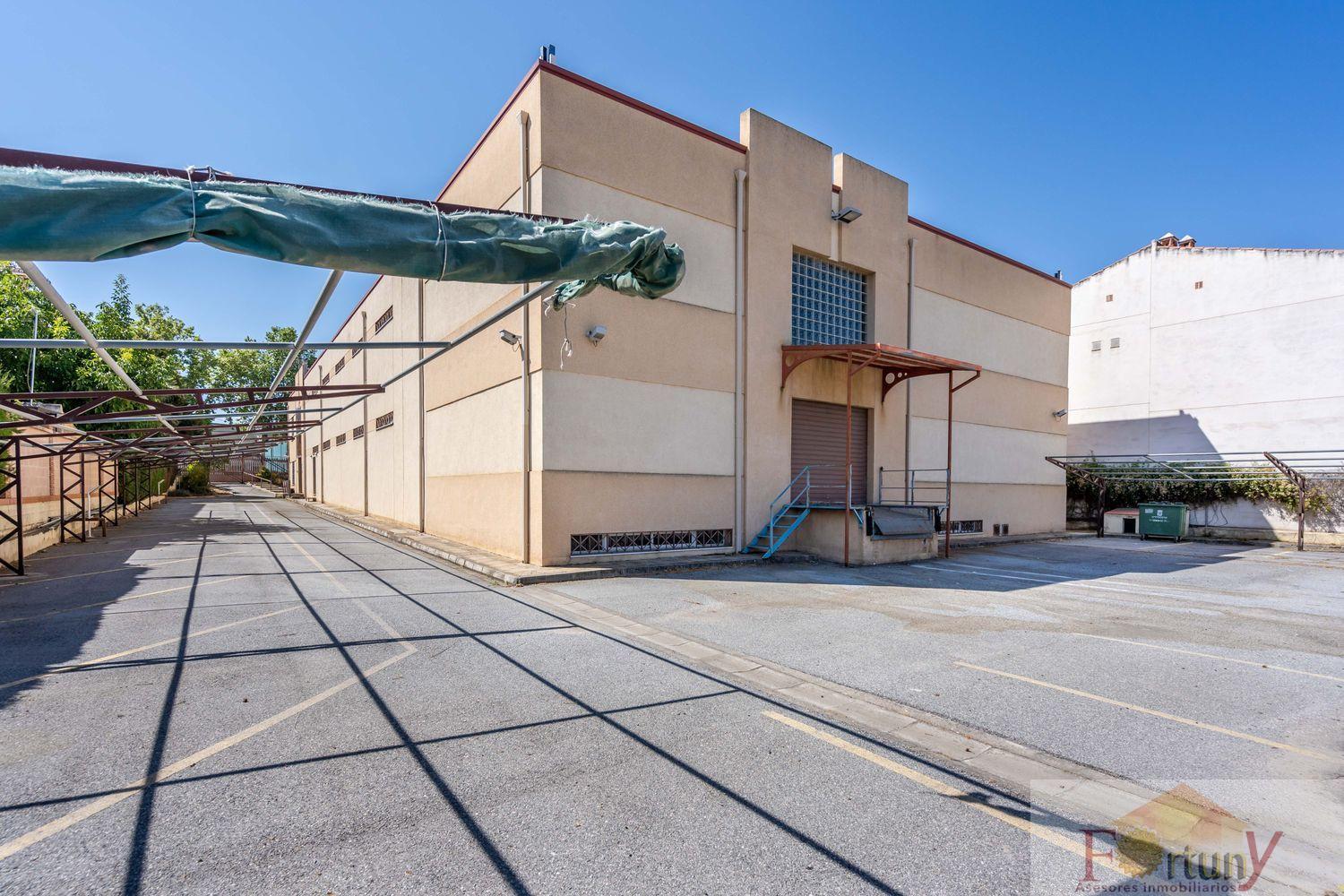 For sale of office in Alhendín