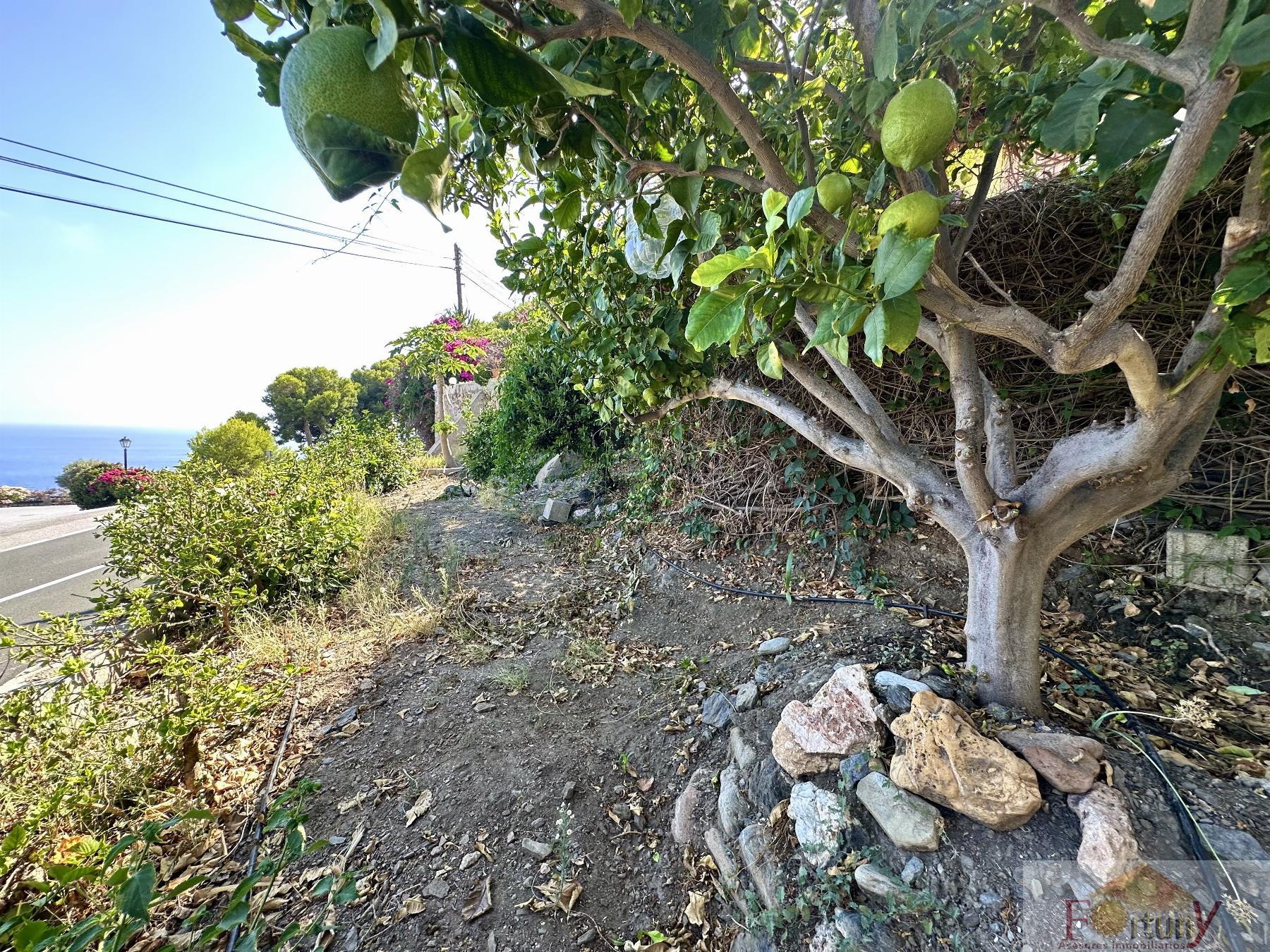 For sale of house in Salobreña