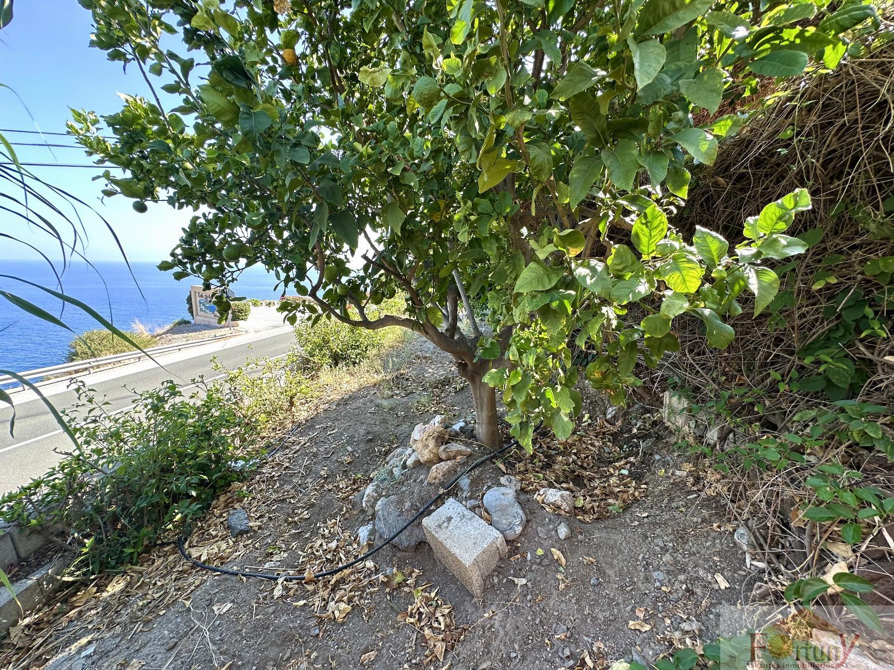 For sale of house in Salobreña