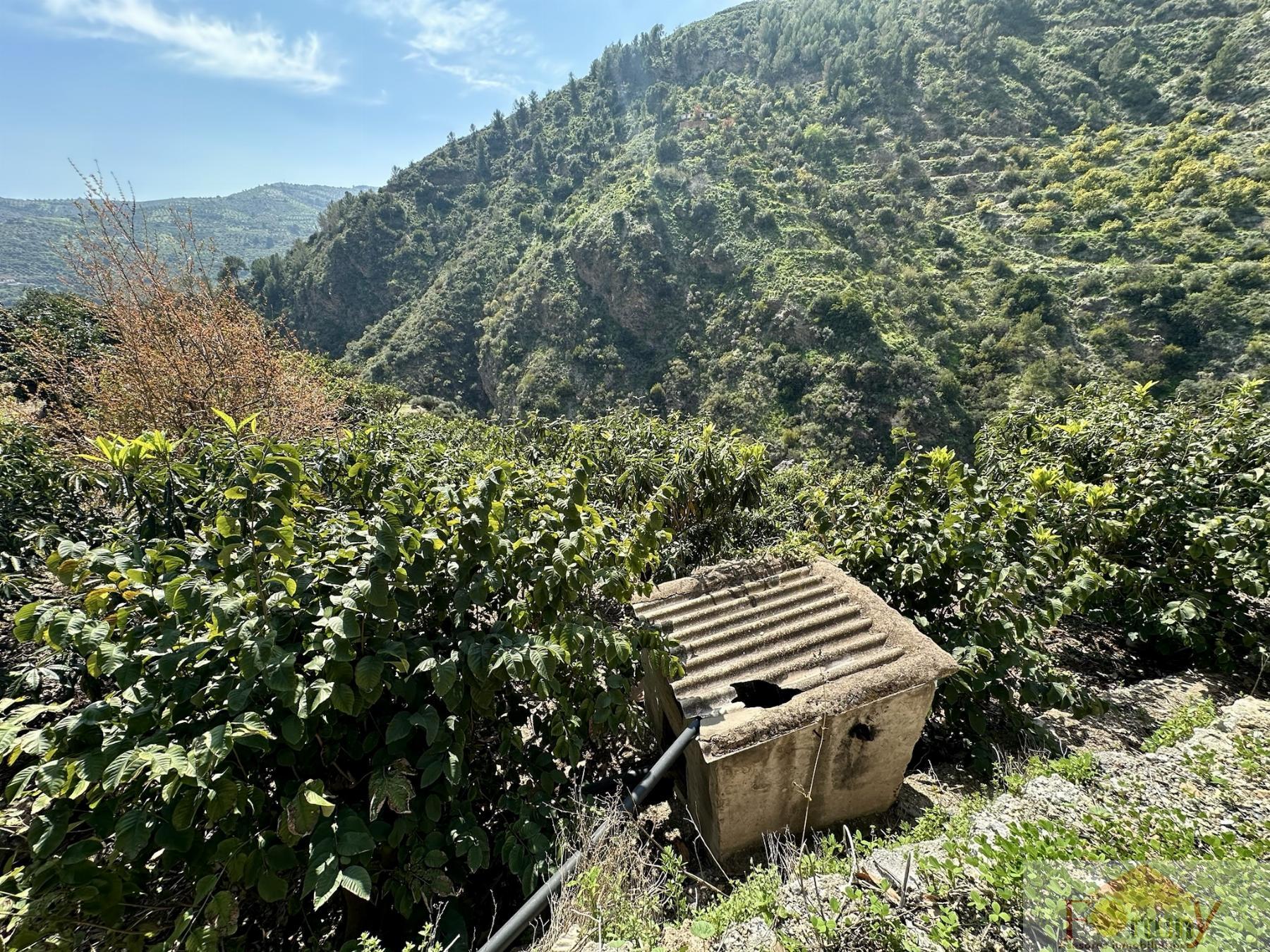 Venta de finca rústica en Otívar