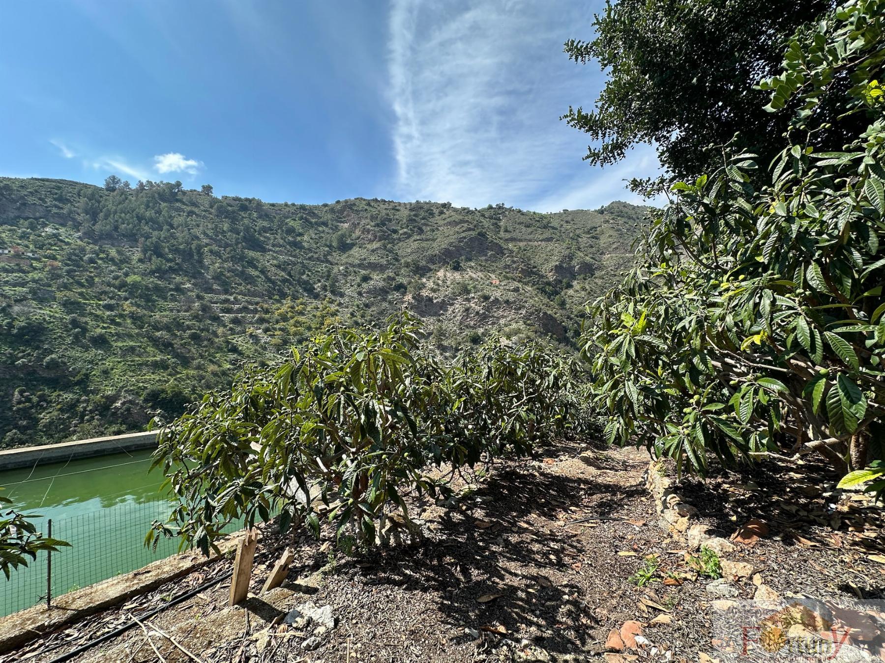 Venta de finca rústica en Otívar