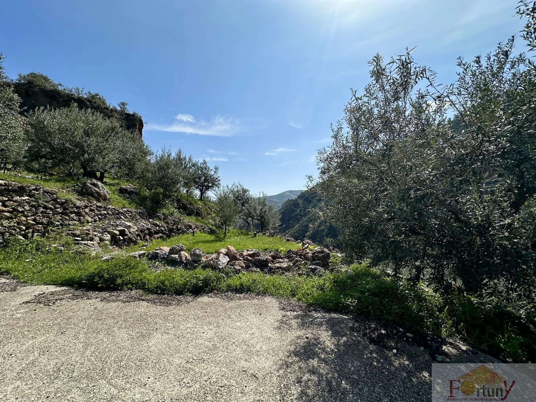 Venta de finca rústica en Otívar