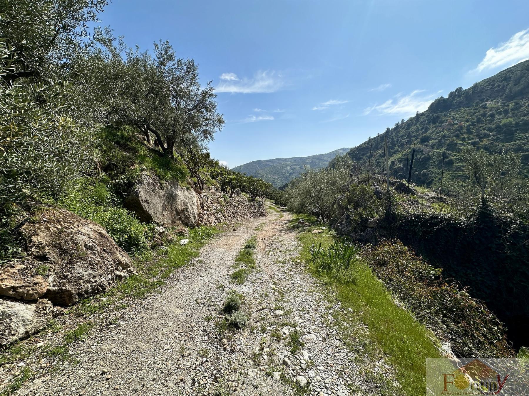 Venta de finca rústica en Otívar