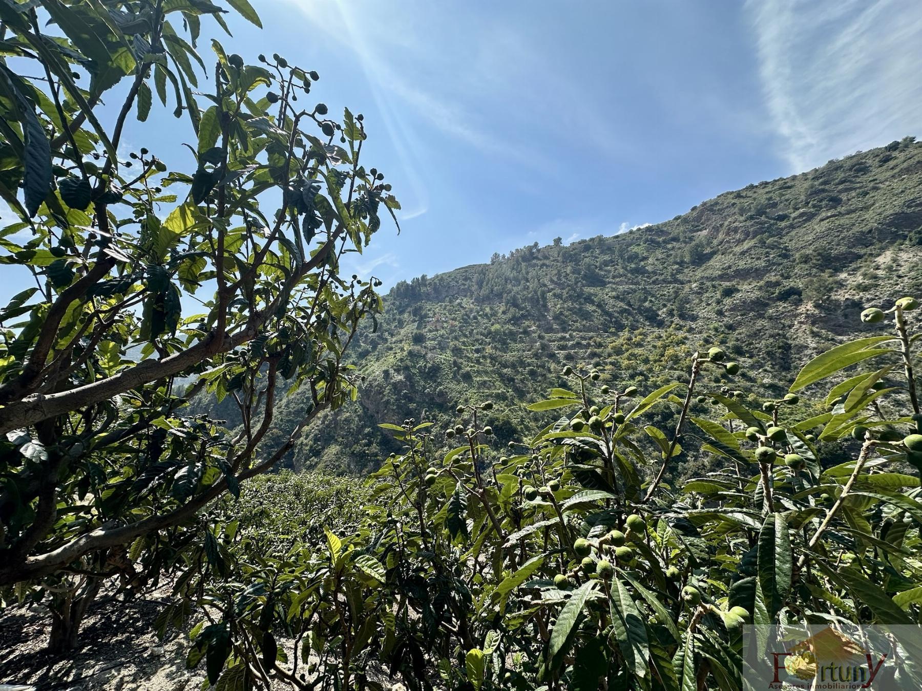 Venta de finca rústica en Otívar