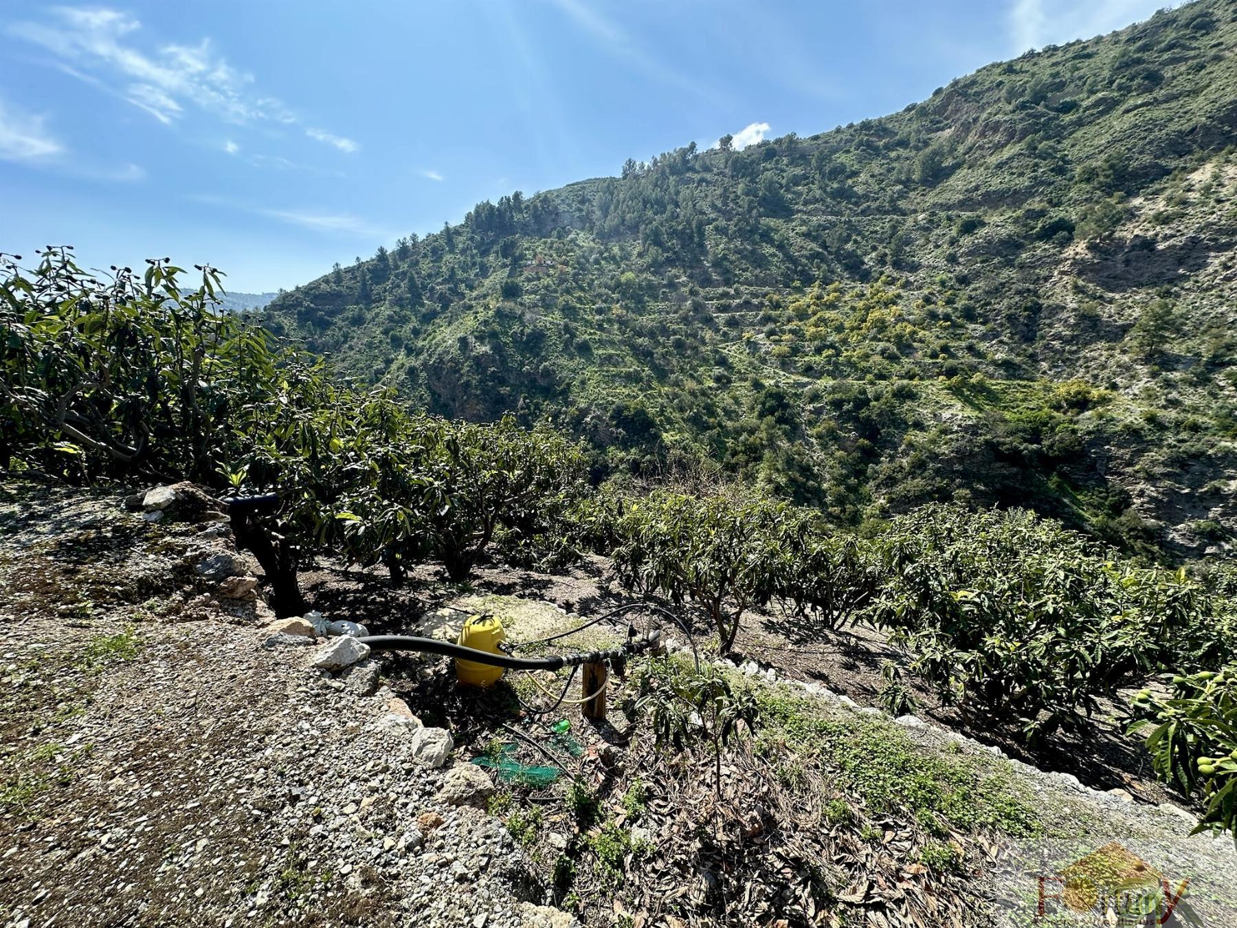 Venta de finca rústica en Otívar