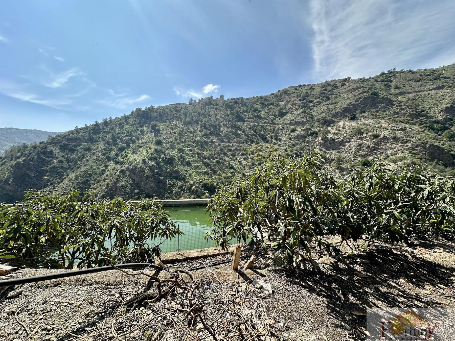 Venta de finca rústica en Otívar