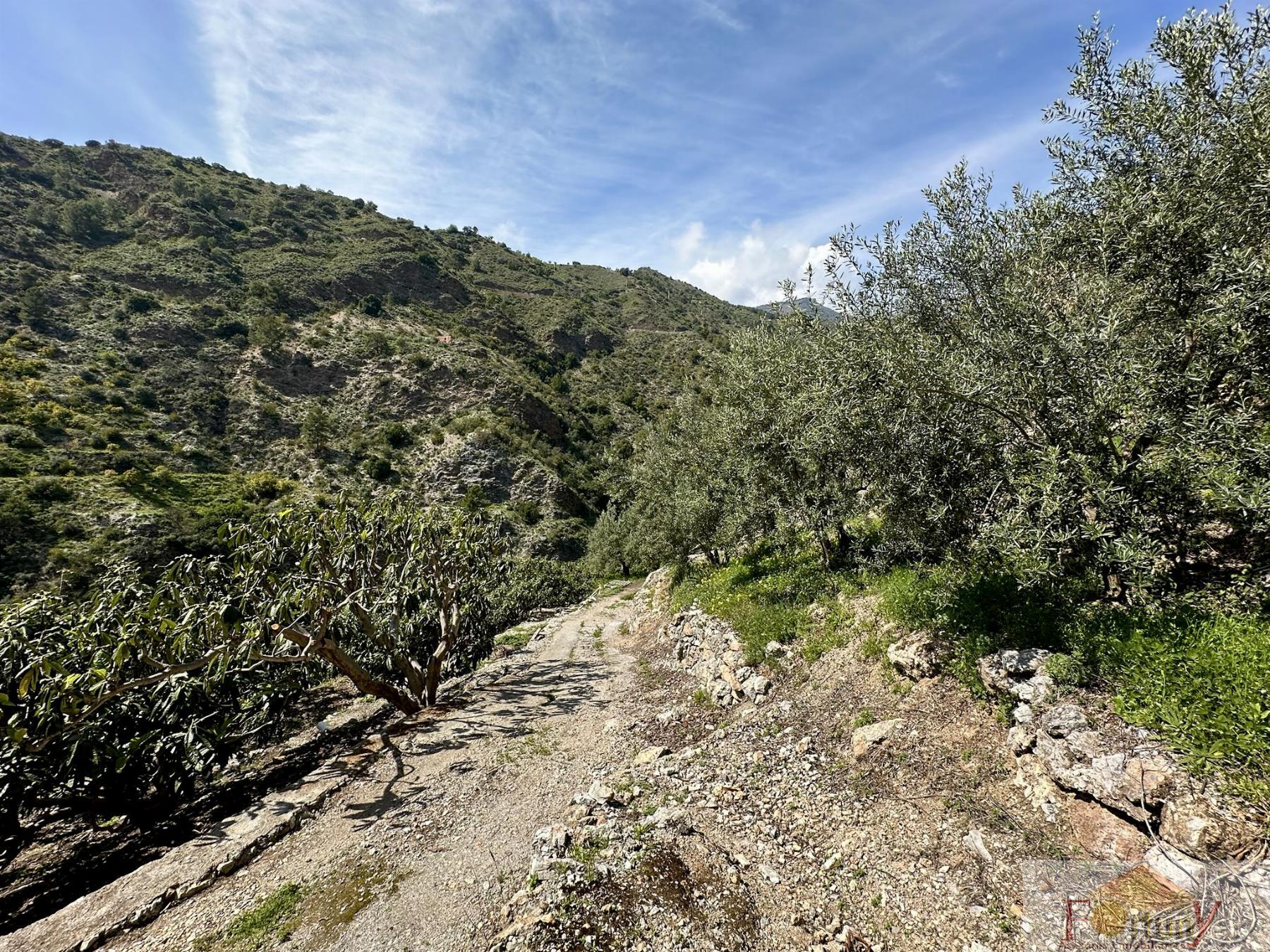 Venta de finca rústica en Otívar