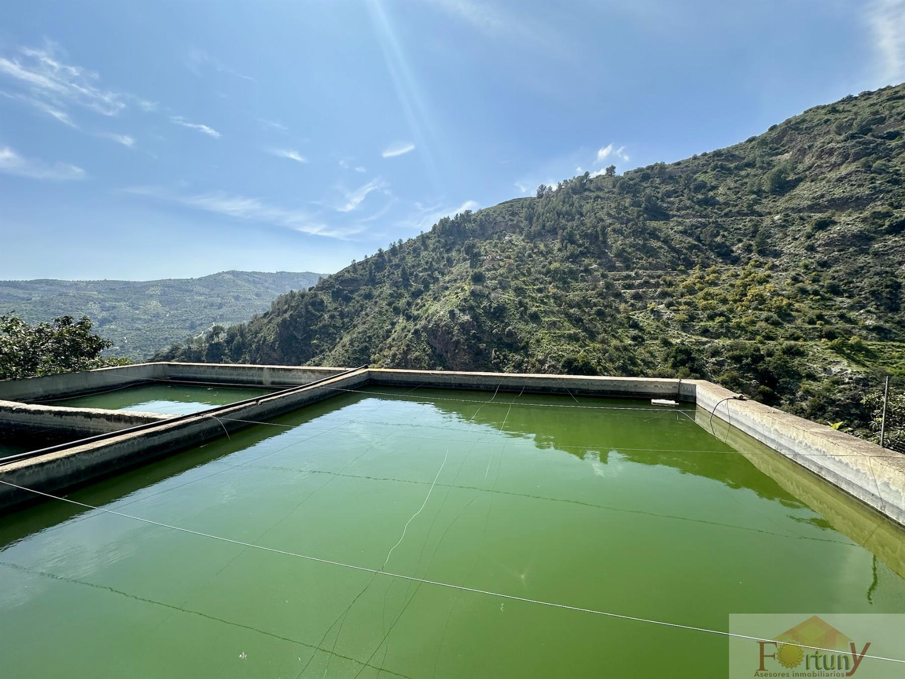 Venta de finca rústica en Otívar