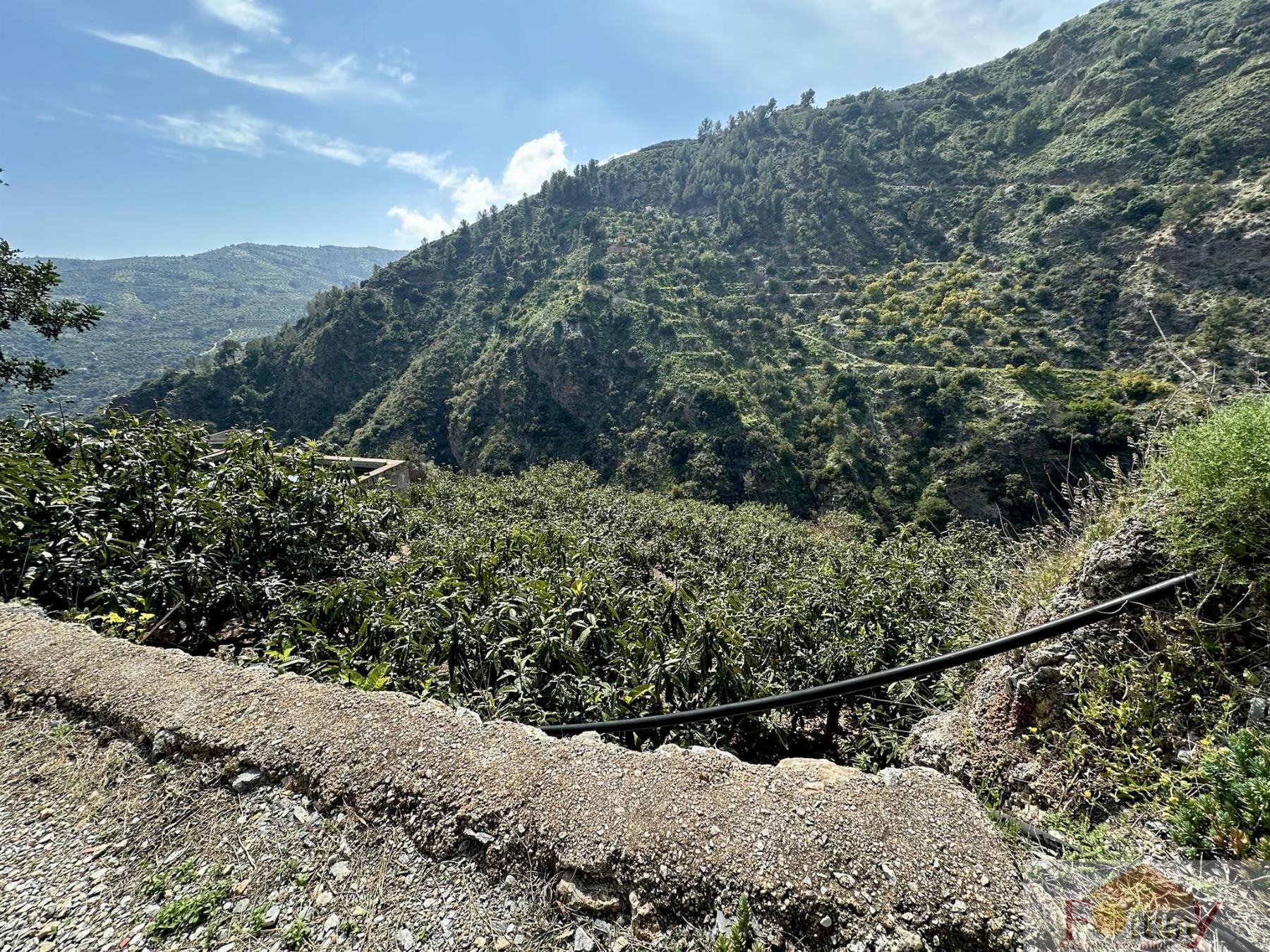 Venta de finca rústica en Otívar