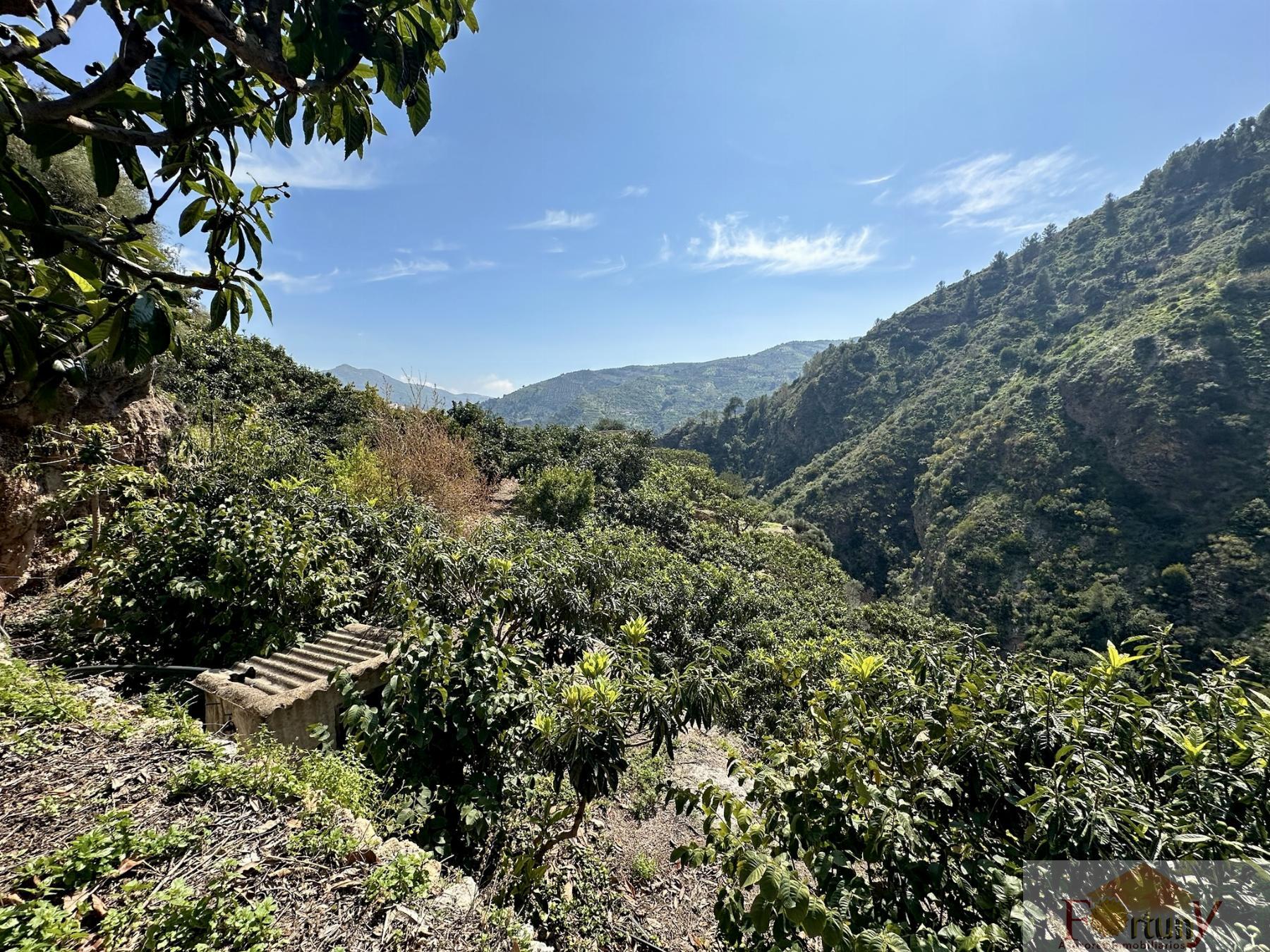 Venta de finca rústica en Otívar