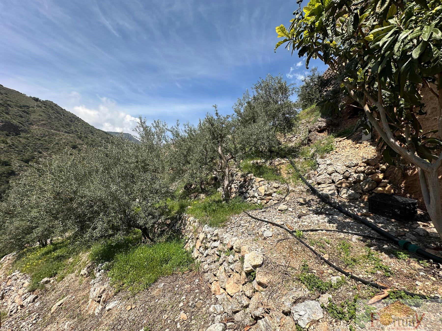 Venta de finca rústica en Otívar