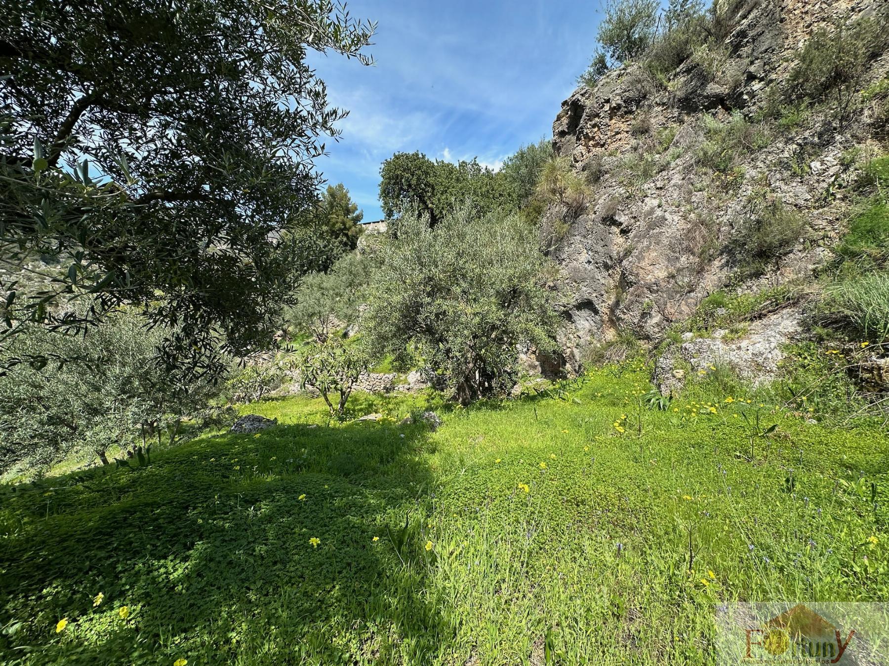 Venta de finca rústica en Otívar