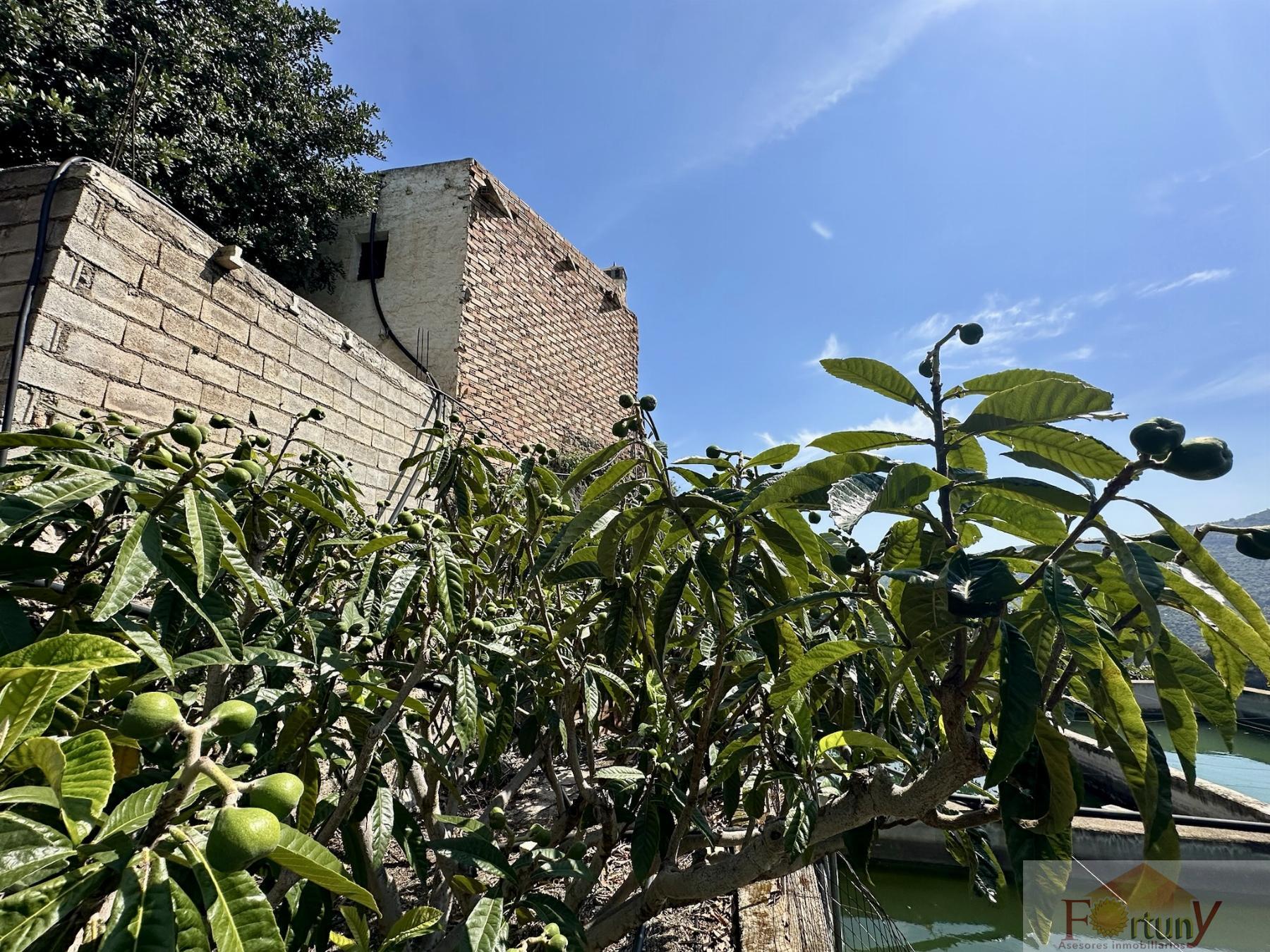 Venta de finca rústica en Otívar