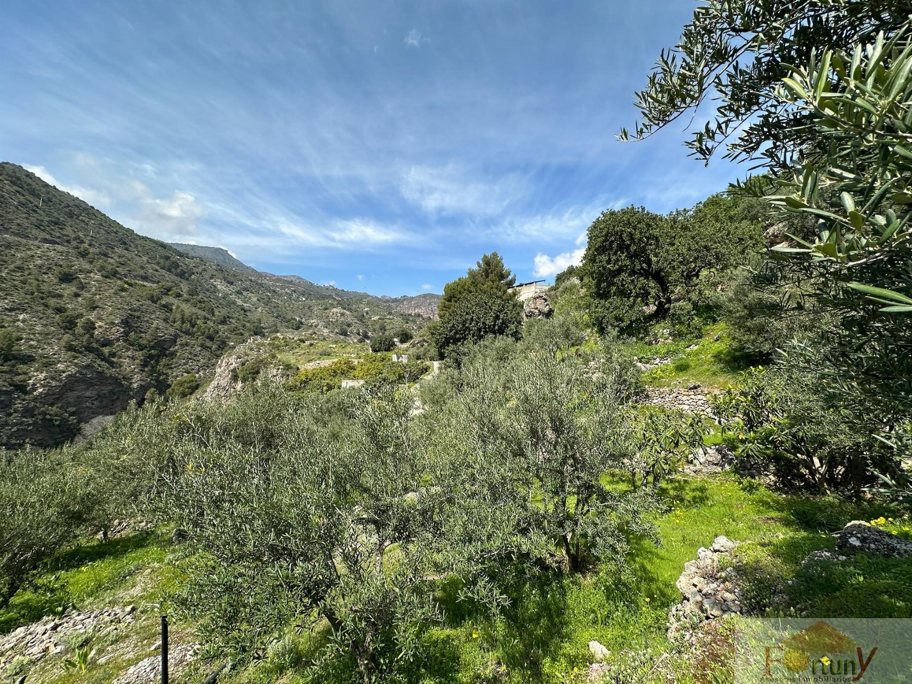 Venta de finca rústica en Otívar