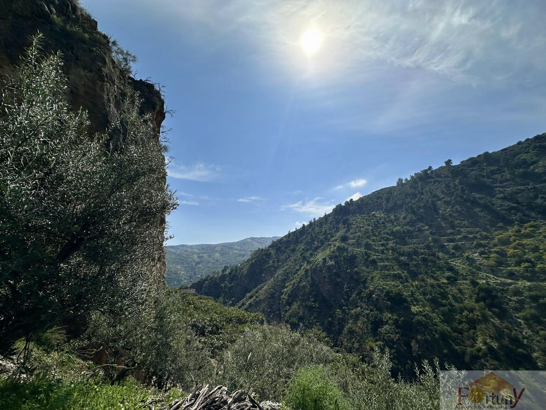 Venta de finca rústica en Otívar