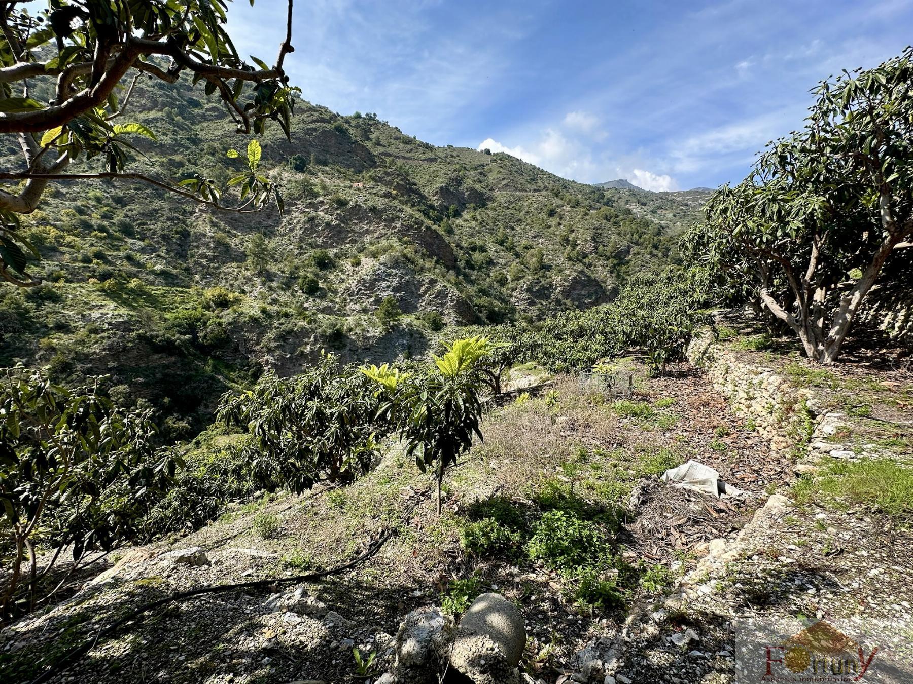 Venta de finca rústica en Otívar