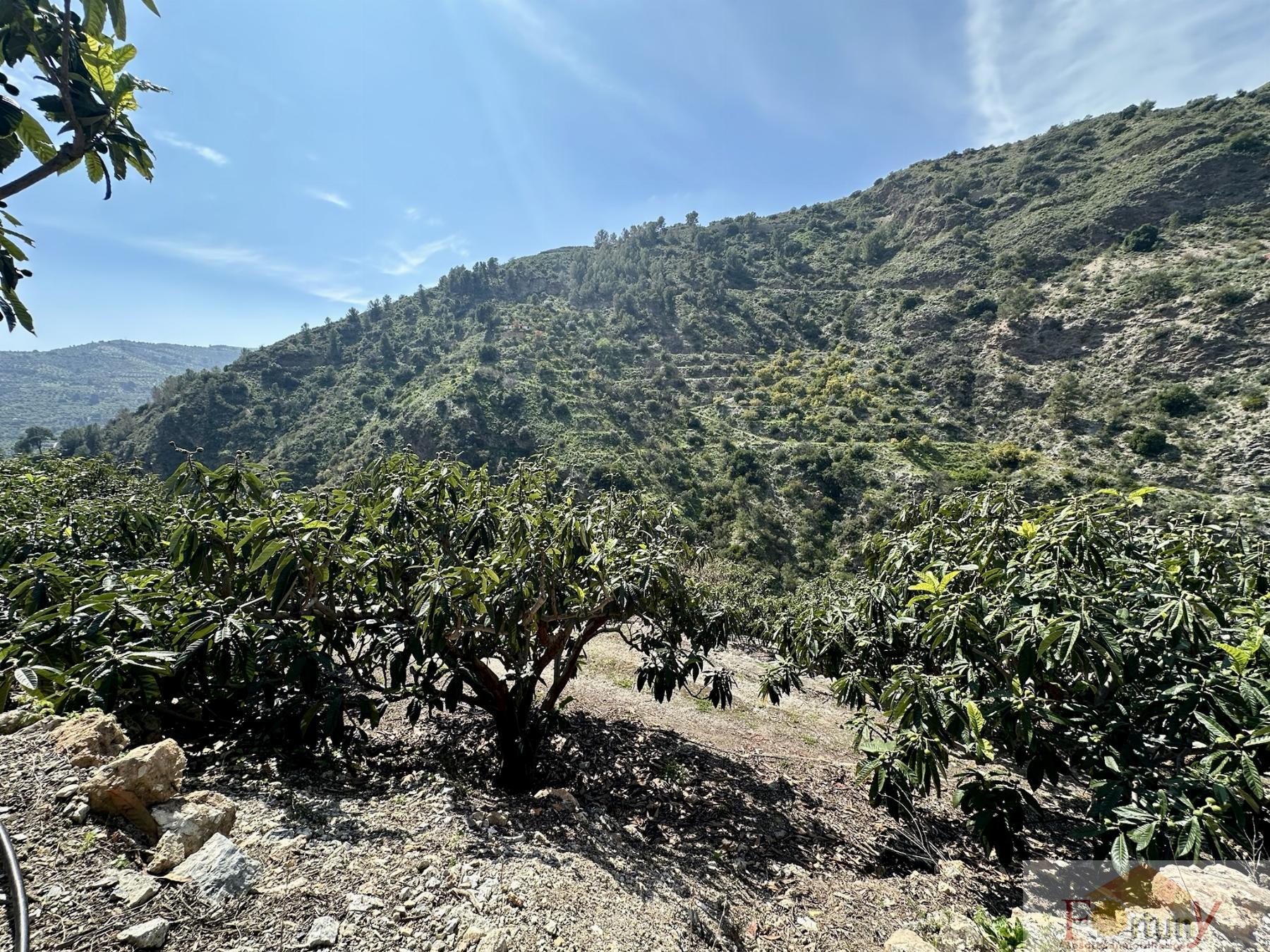 Venta de finca rústica en Otívar