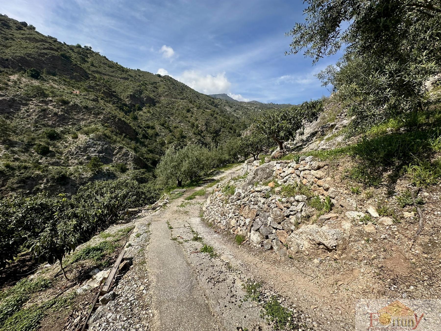 Venta de finca rústica en Otívar