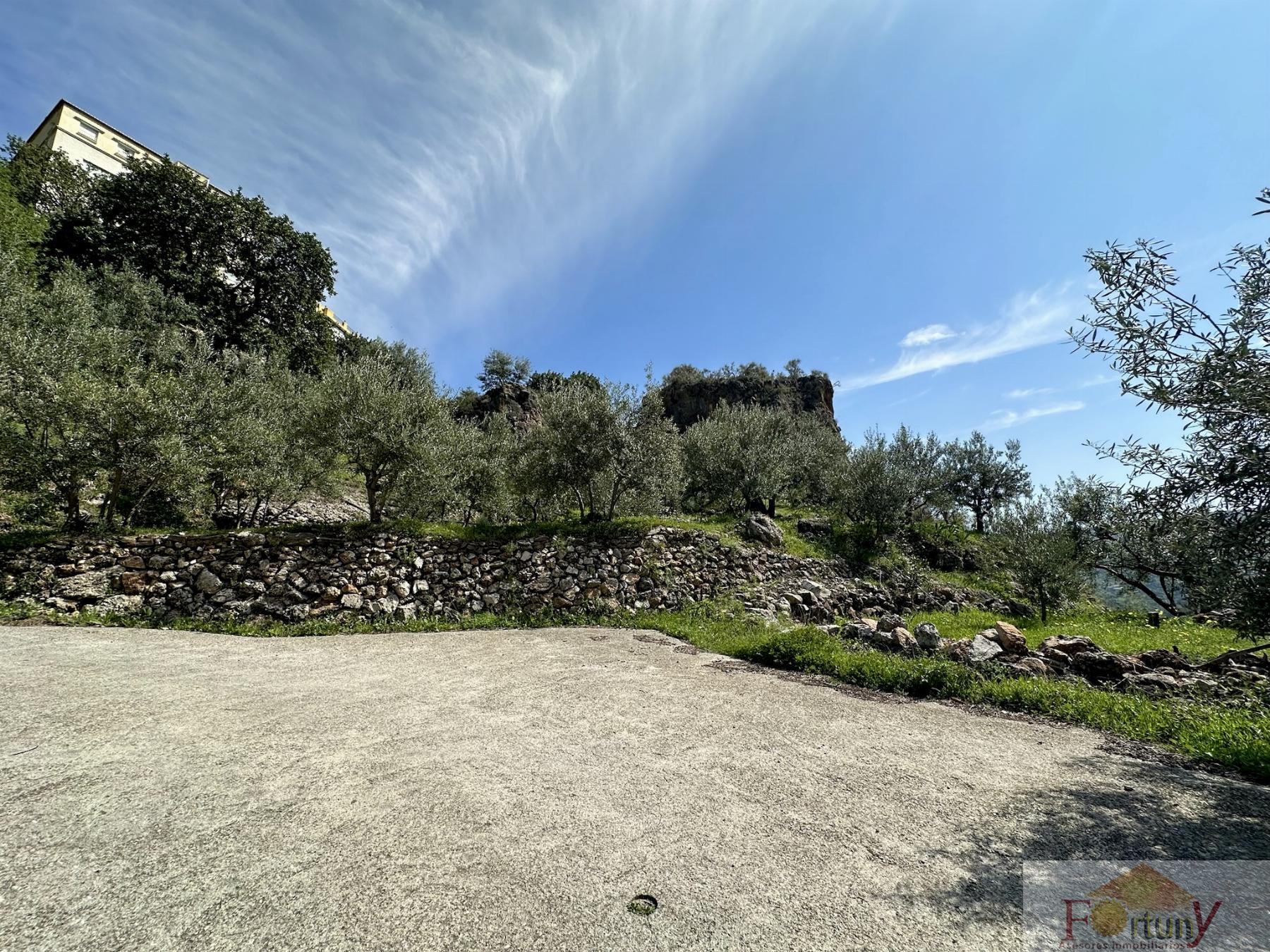 Venta de finca rústica en Otívar