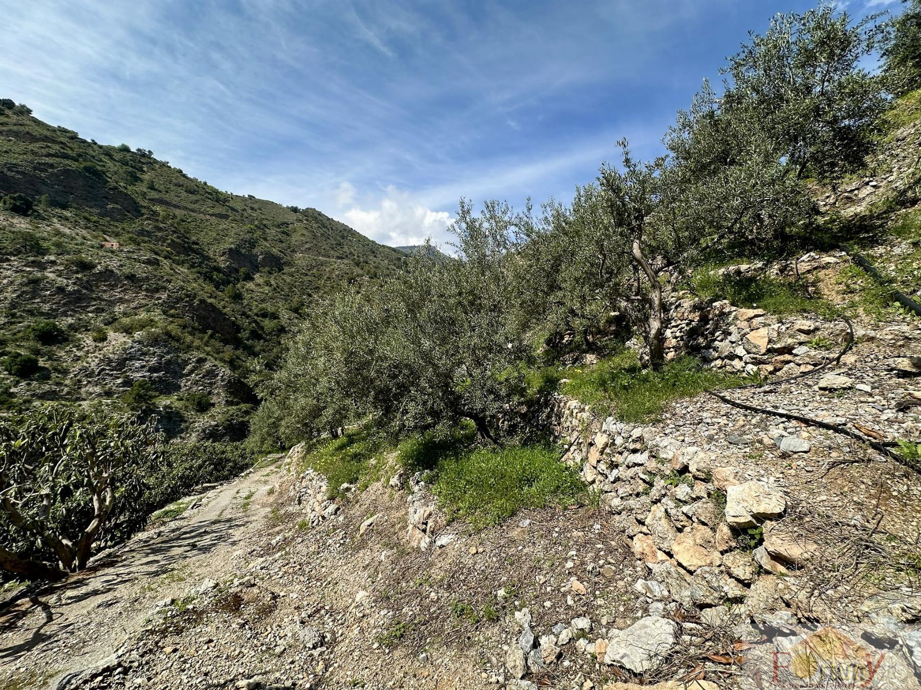 Venta de finca rústica en Otívar