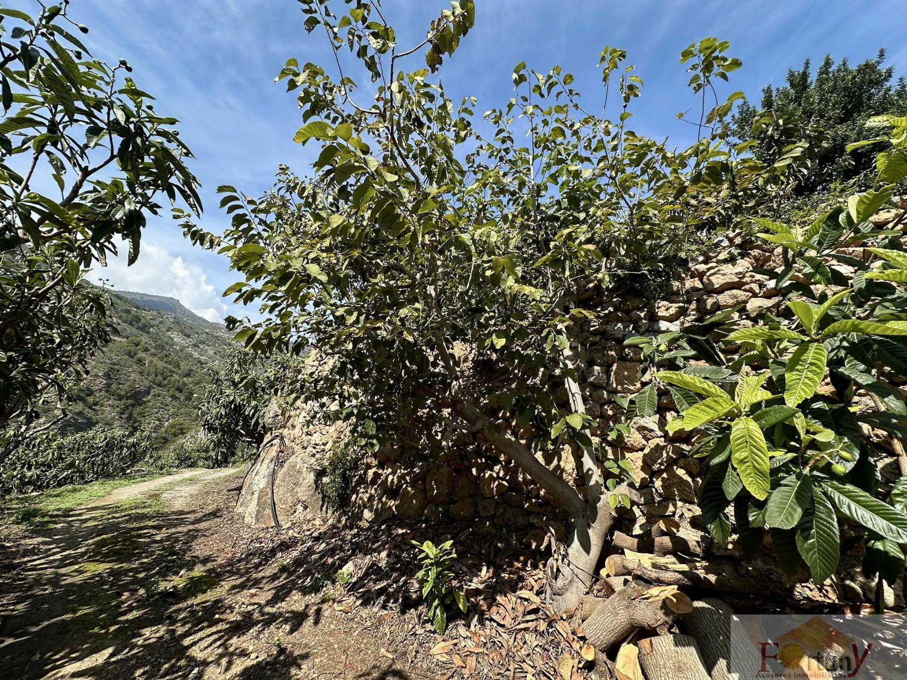 Venta de finca rústica en Otívar