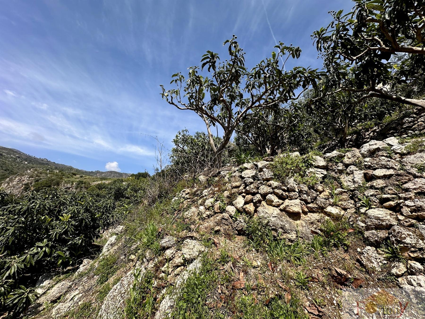 Venta de finca rústica en Otívar