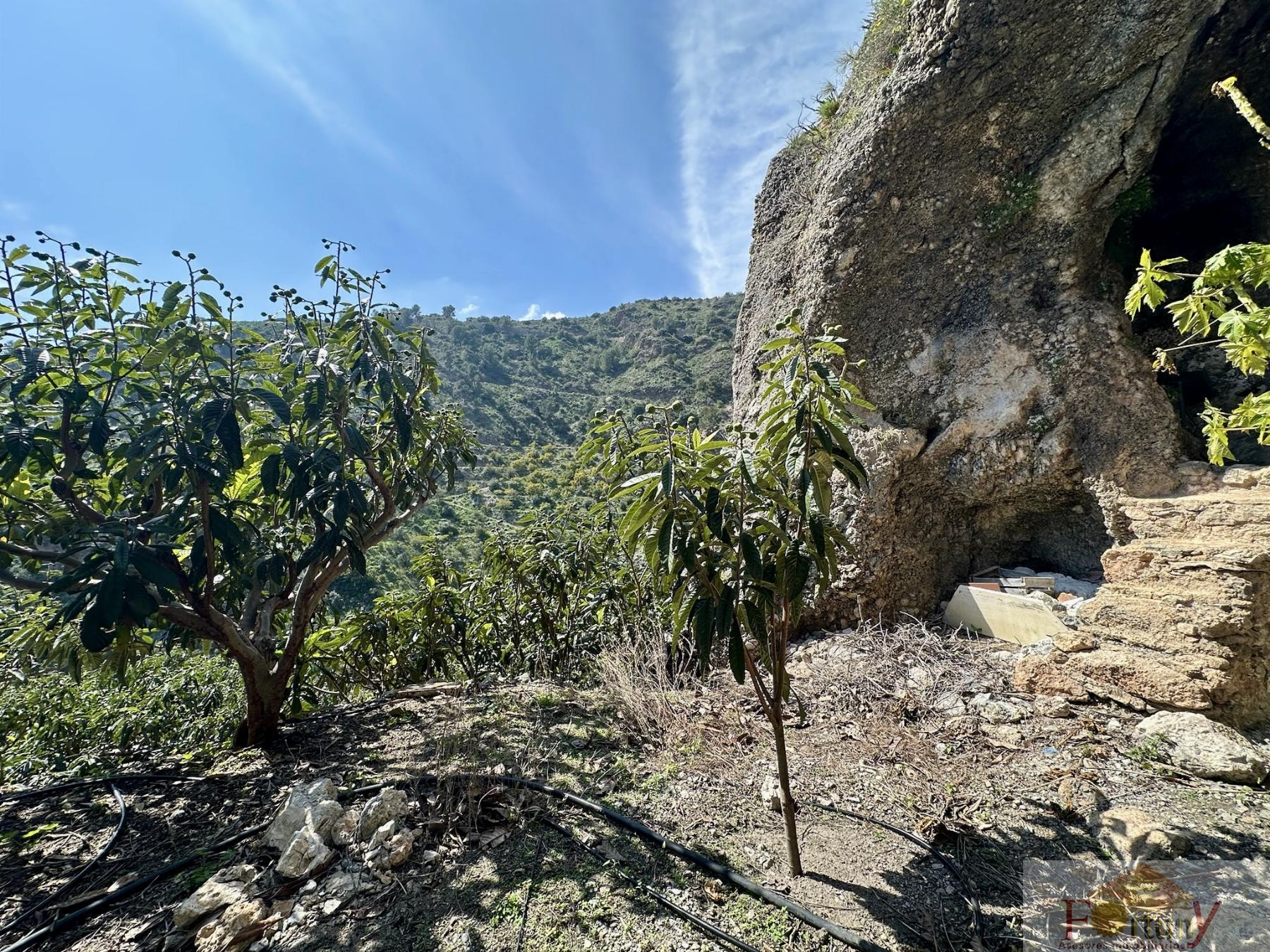 Venta de finca rústica en Otívar