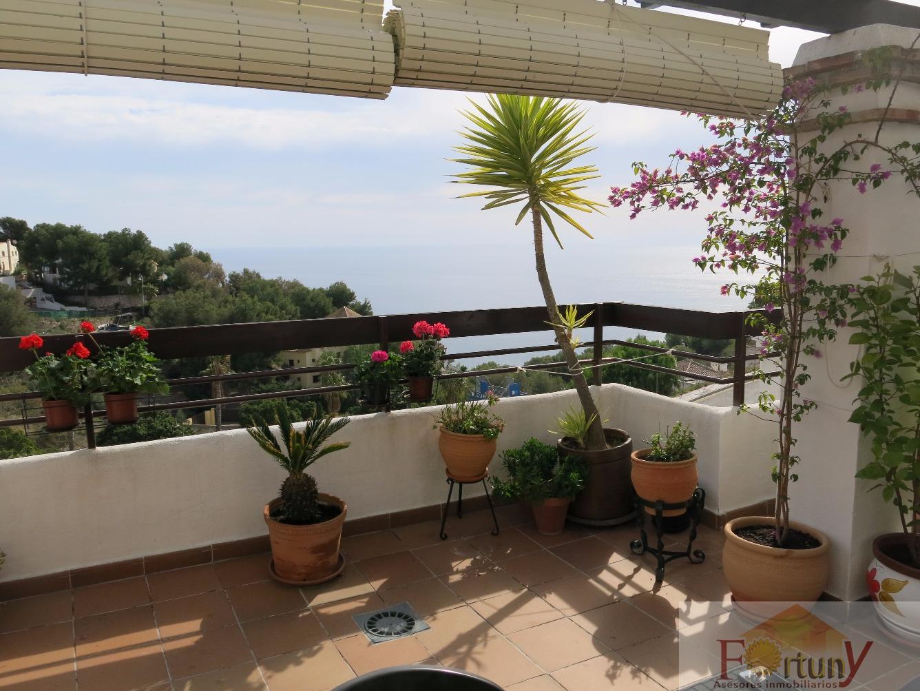 For rent of flat in Almuñécar